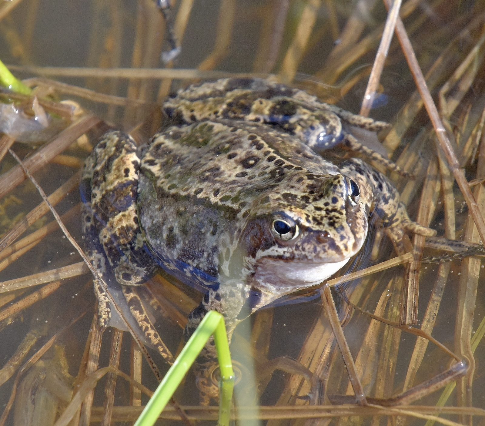 Valokuvaaja: Reijo Juurinen
