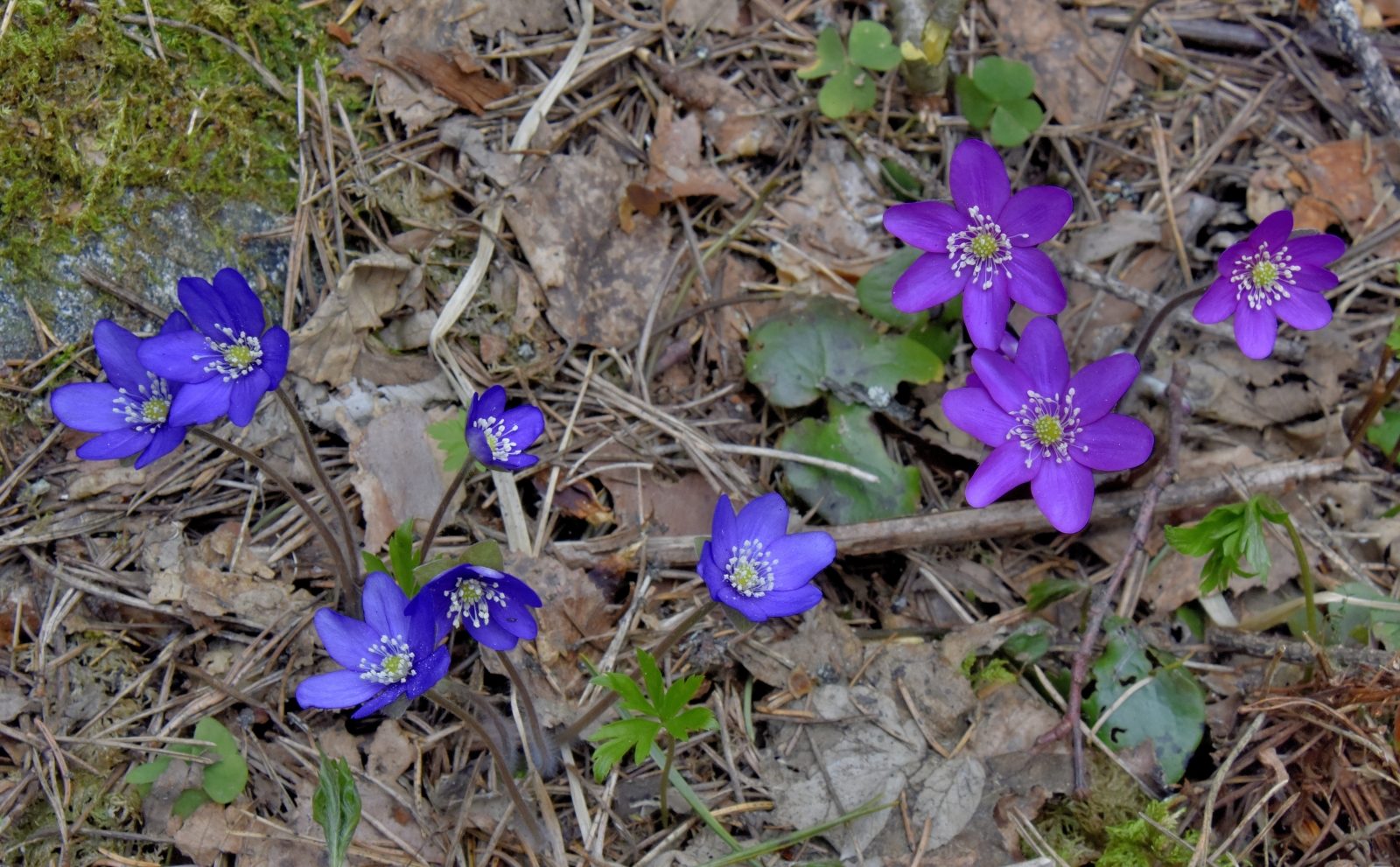 Valokuvaaja: Reijo Juurinen