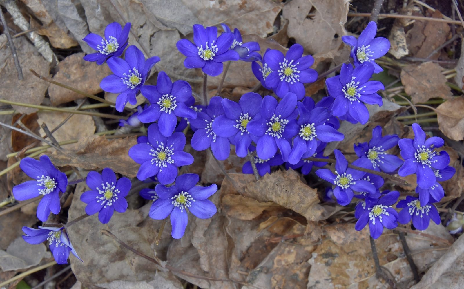 Valokuvaaja: Reijo Juurinen