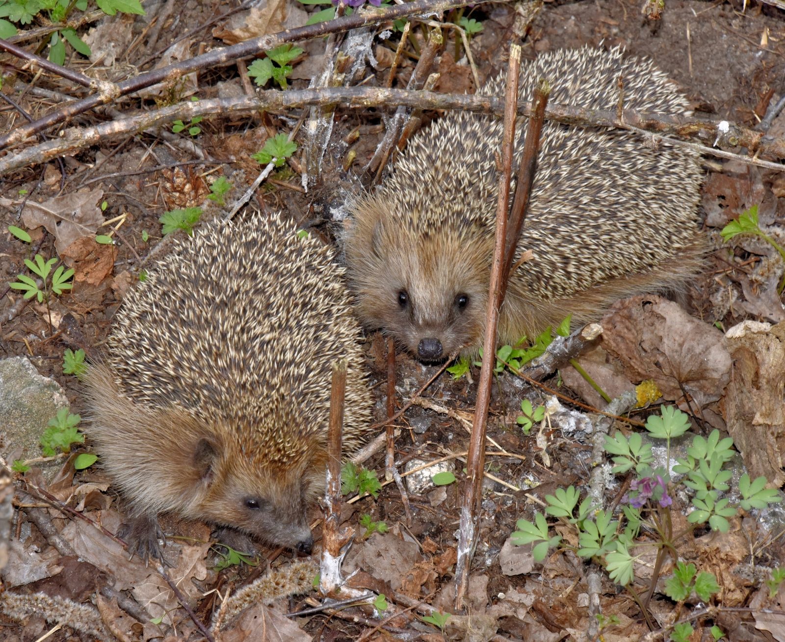 Valokuvaaja: Reijo Juurinen