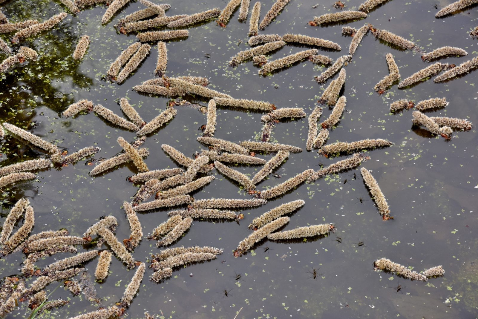 Valokuvaaja: Reijo Juurinen