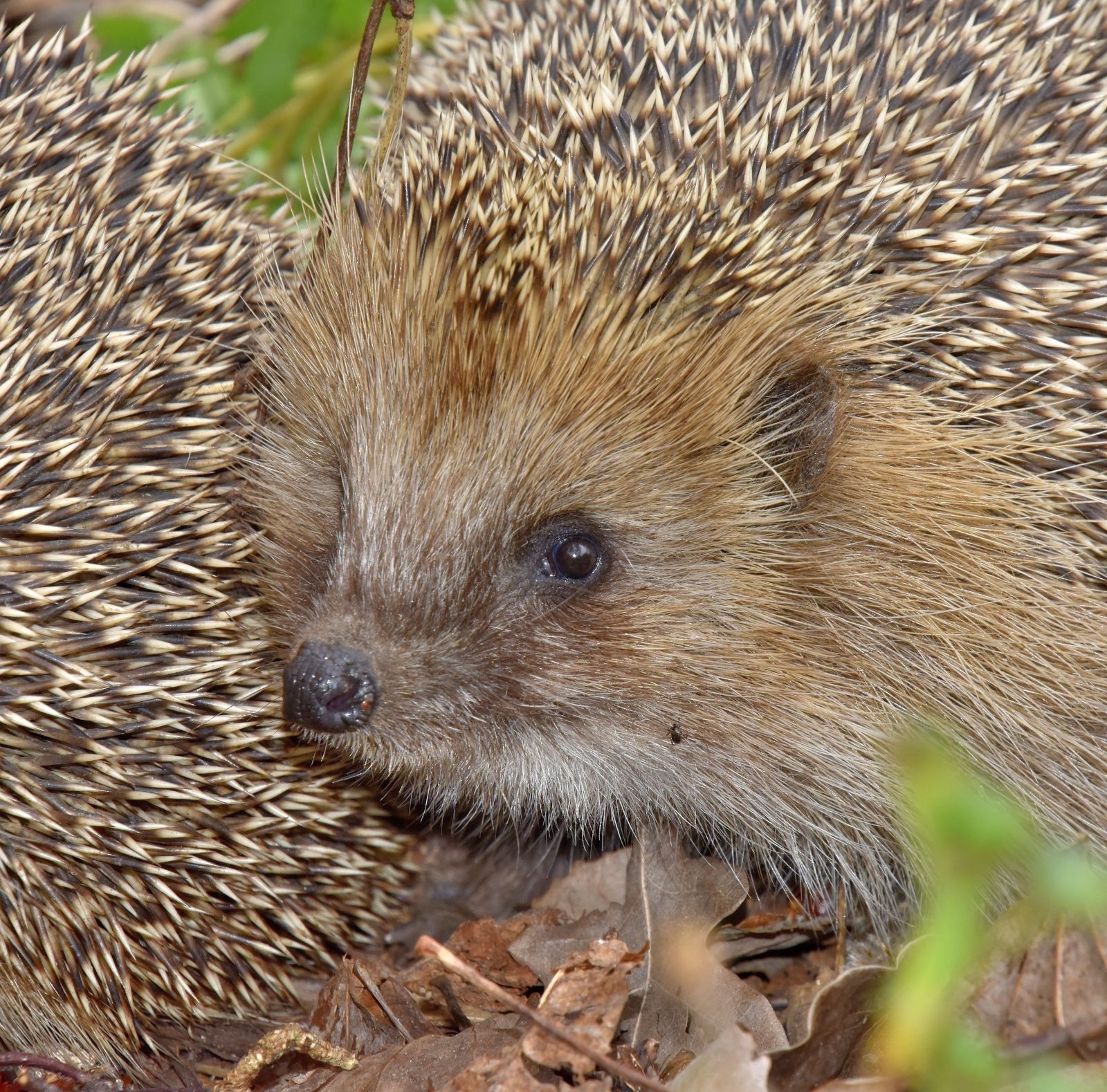Valokuvaaja: Reijo Juurinen