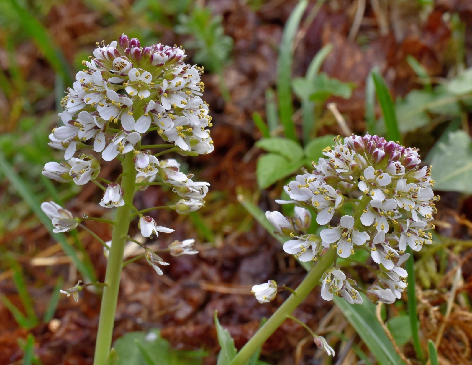 Valokuvaaja: Reijo Juurinen