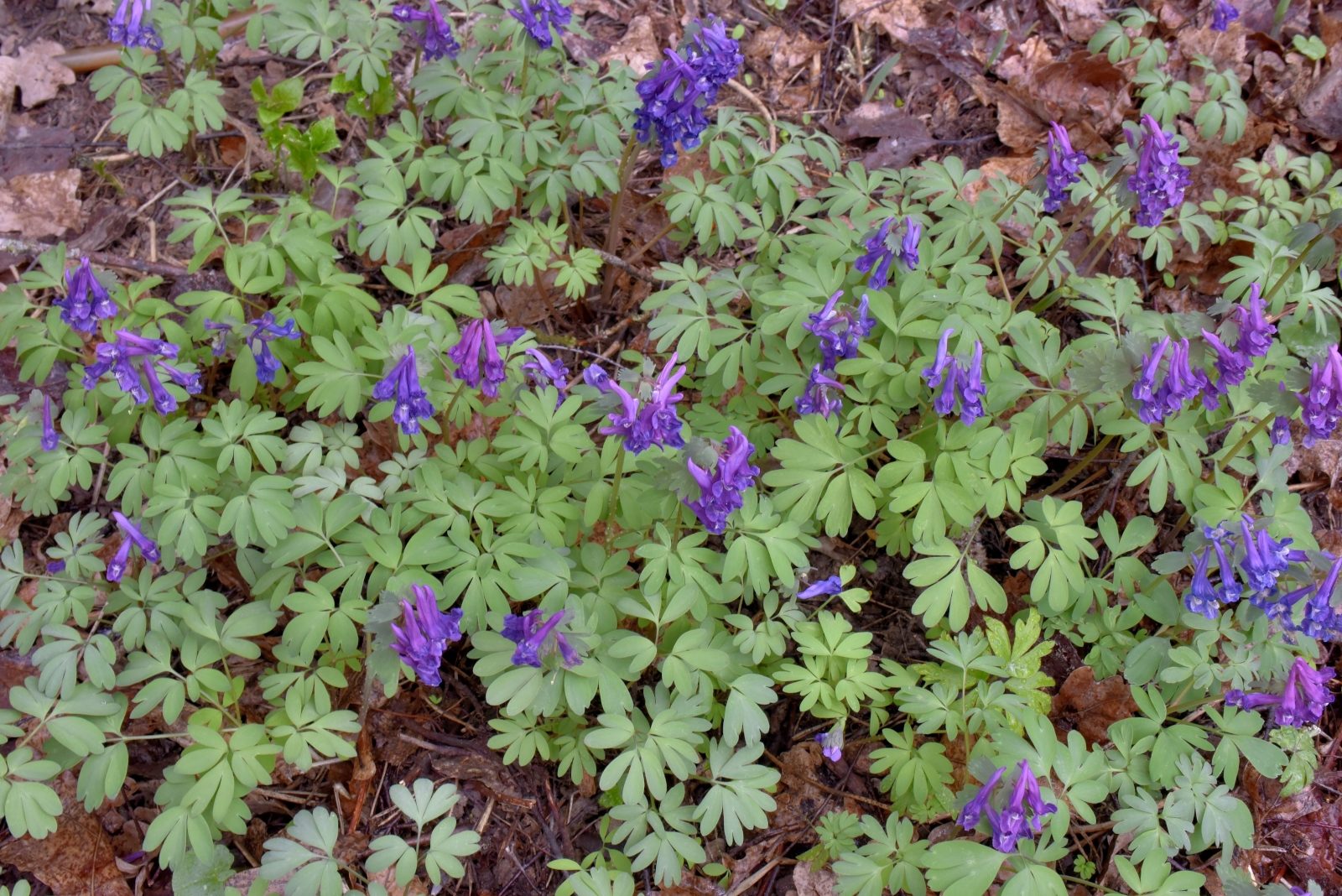 Valokuvaaja: Reijo Juurinen