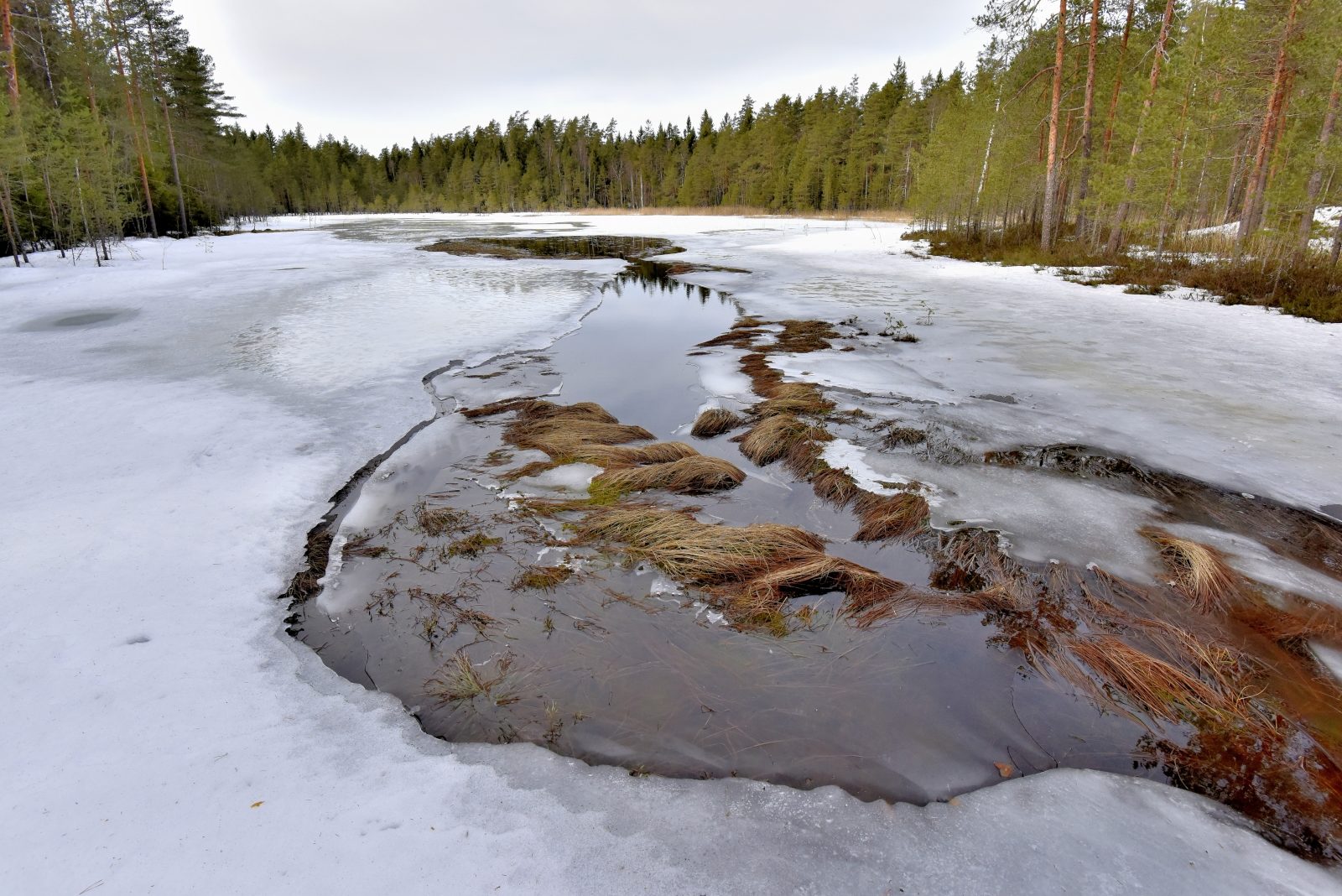Valokuvaaja: Reijo Juurinen