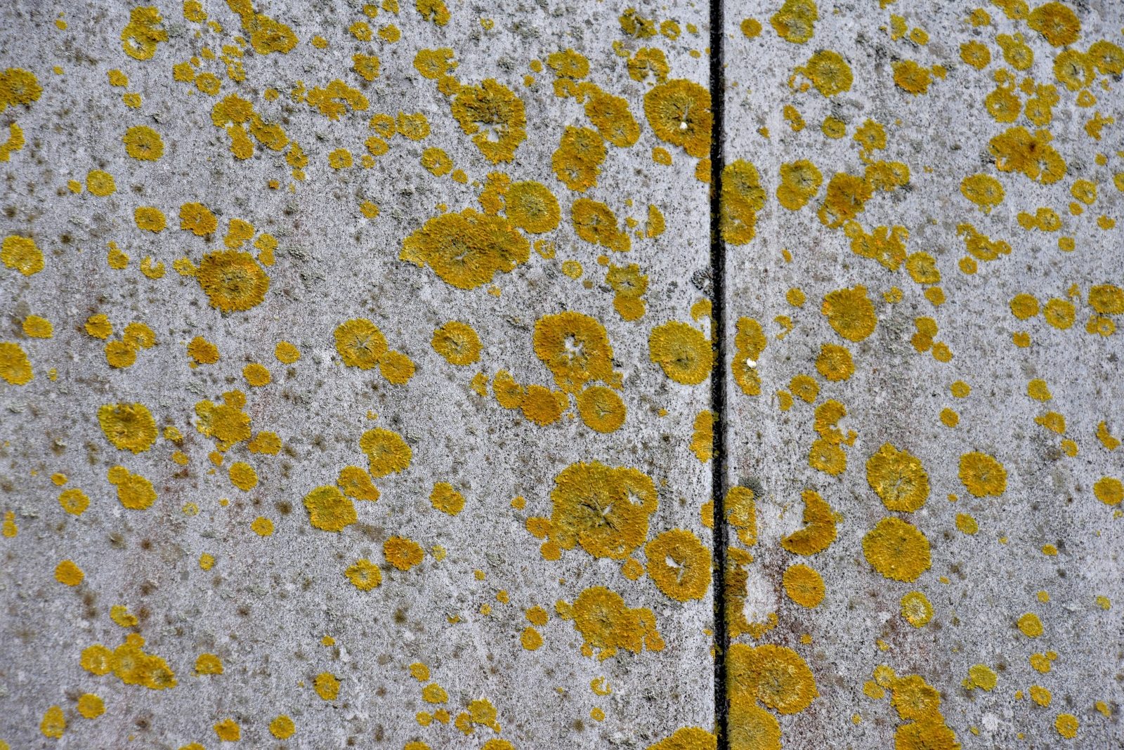 Valokuvaaja: Reijo Juurinen