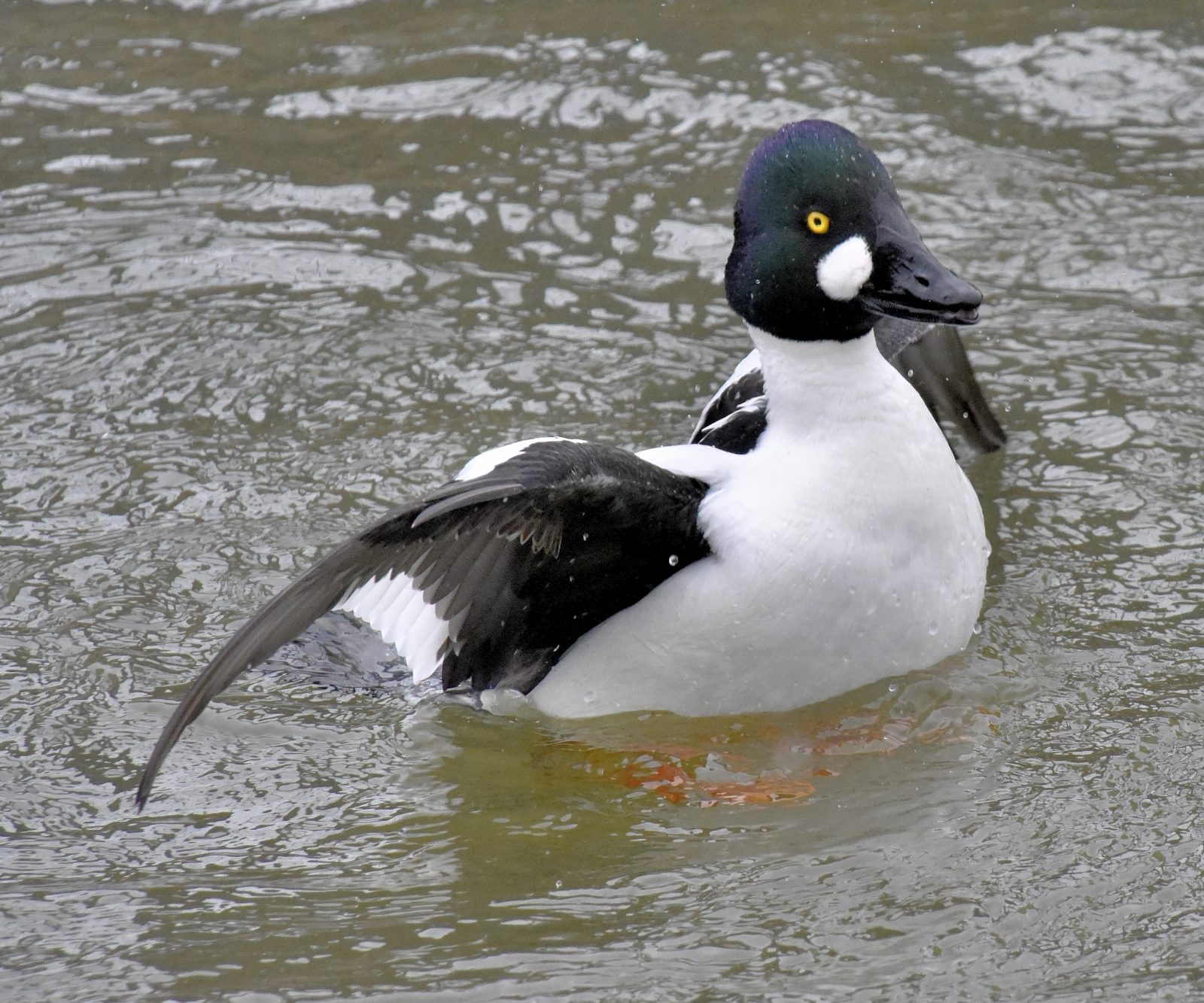 Valokuvaaja: Reijo Juurinen