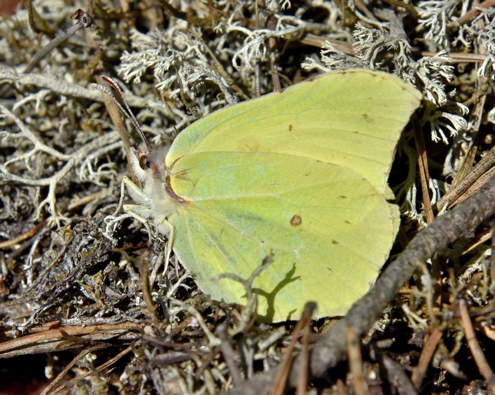 Valokuvaaja: Reijo Juurinen