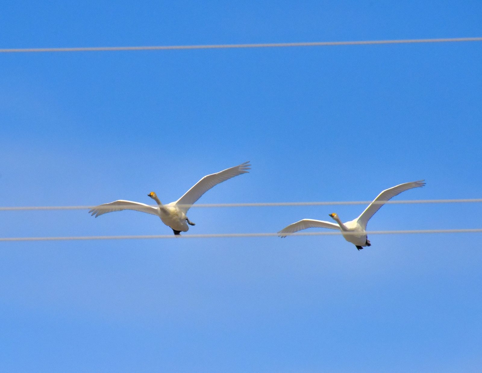 Valokuvaaja: Reijo Juurinen Valokuvaaja: Reijo Juurinen