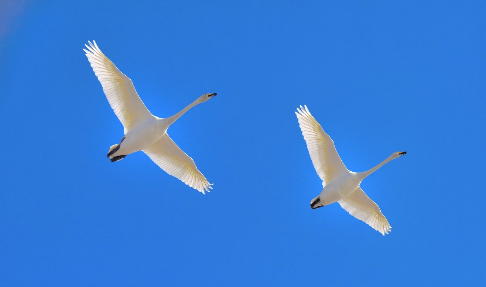 Valokuvaaja: Reijo Juurinen