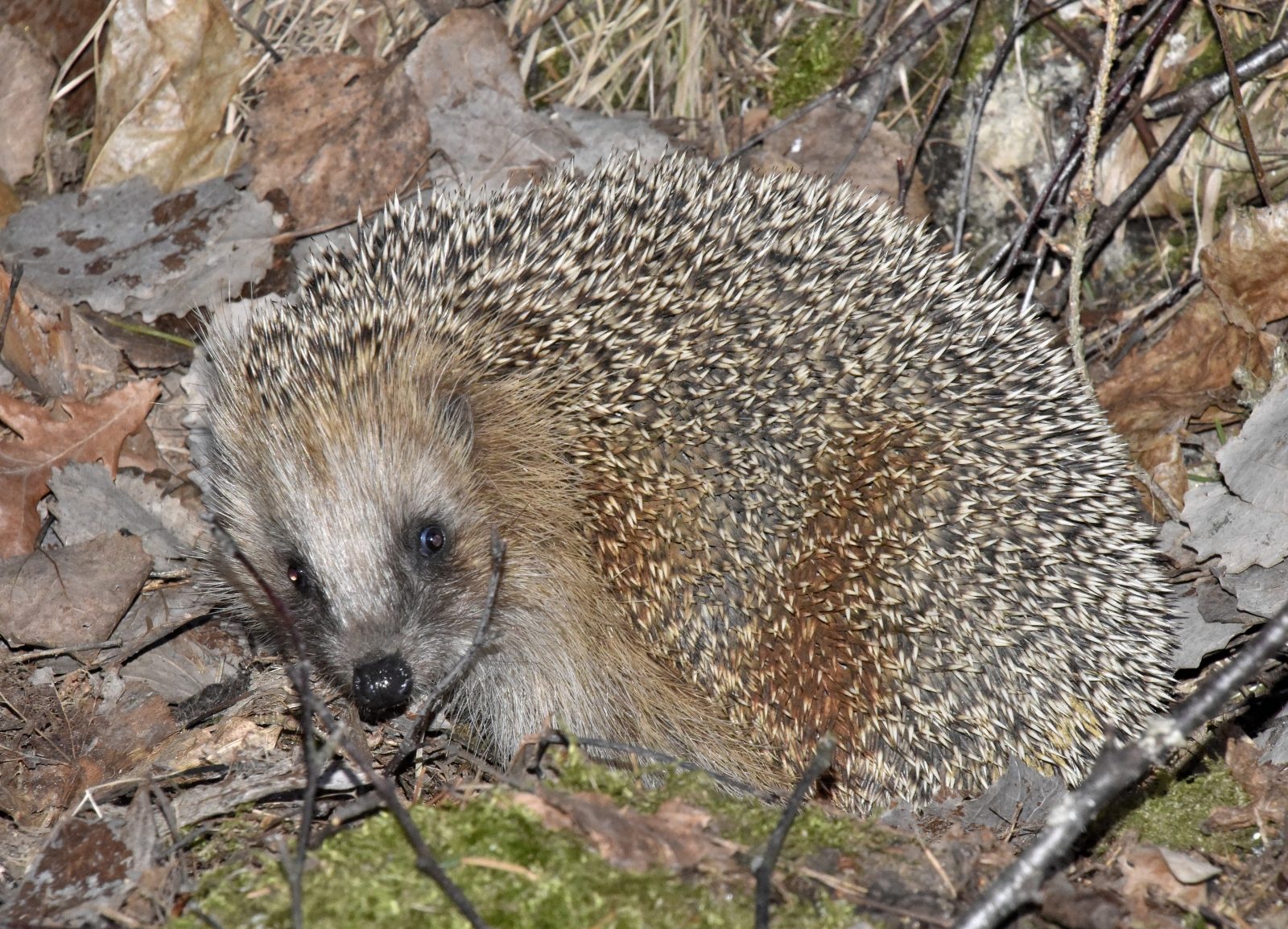 Valokuvaaja: Reijo Juurinen Valokuvaaja: Reijo Juurinen