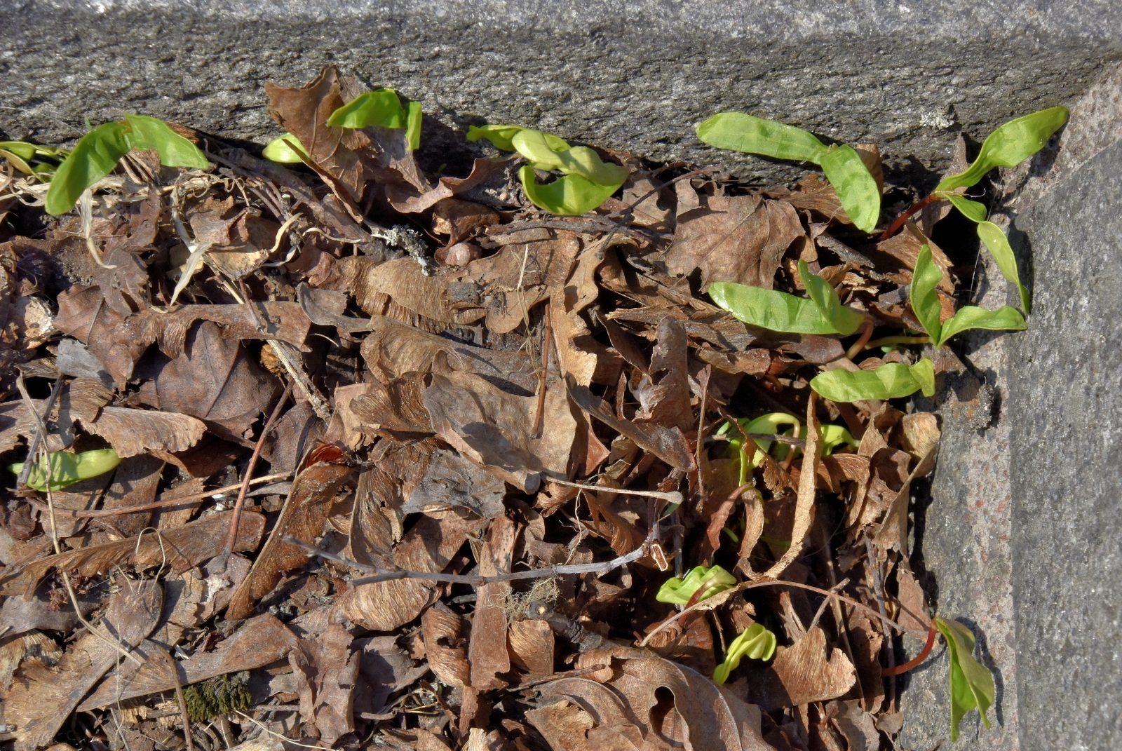 Valokuvaaja: Reijo Juurinen