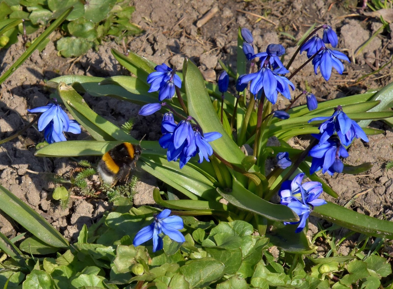 Valokuvaaja: Reijo Juurinen