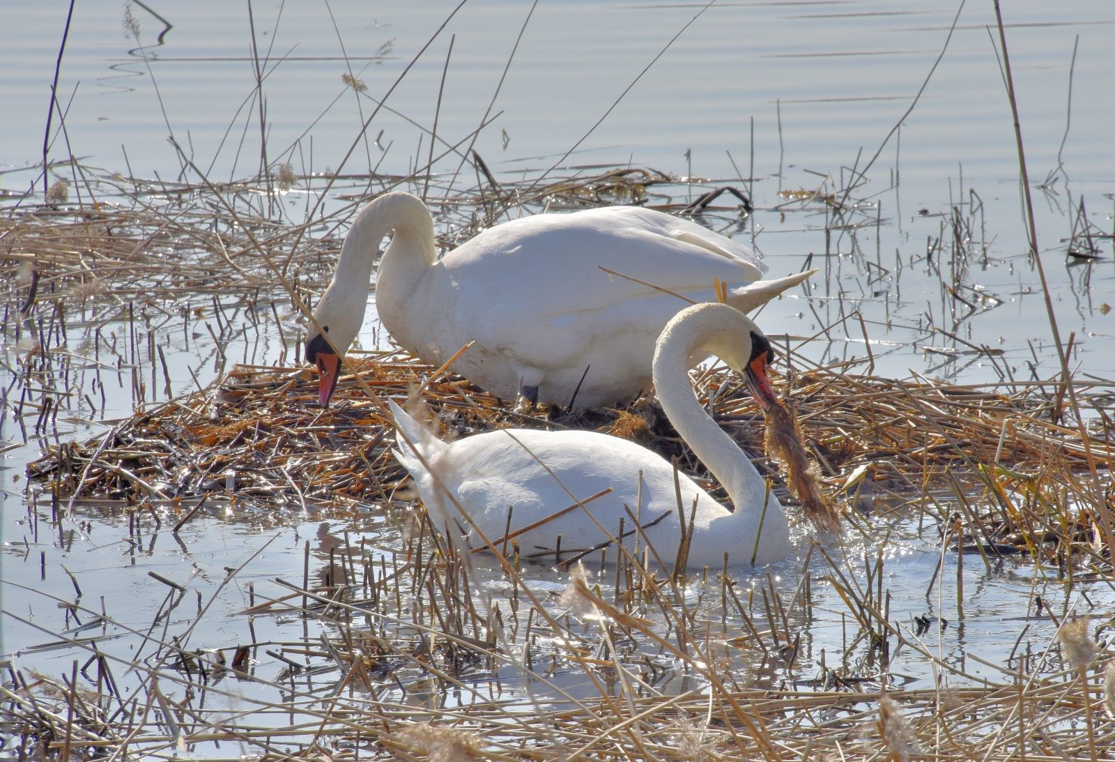 Valokuvaaja: Reijo Juurinen