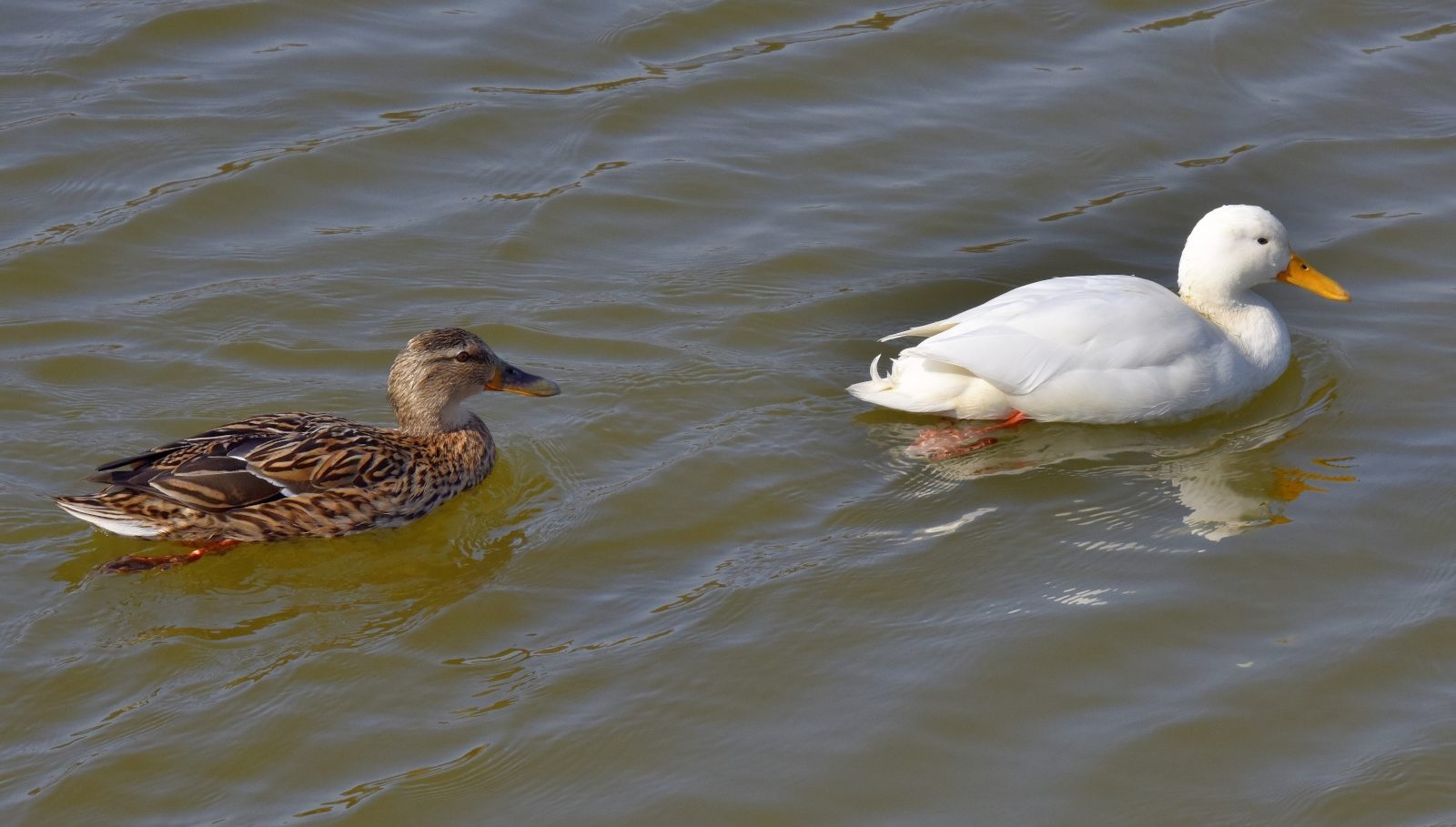 Valokuvaaja: Reijo Juurinen