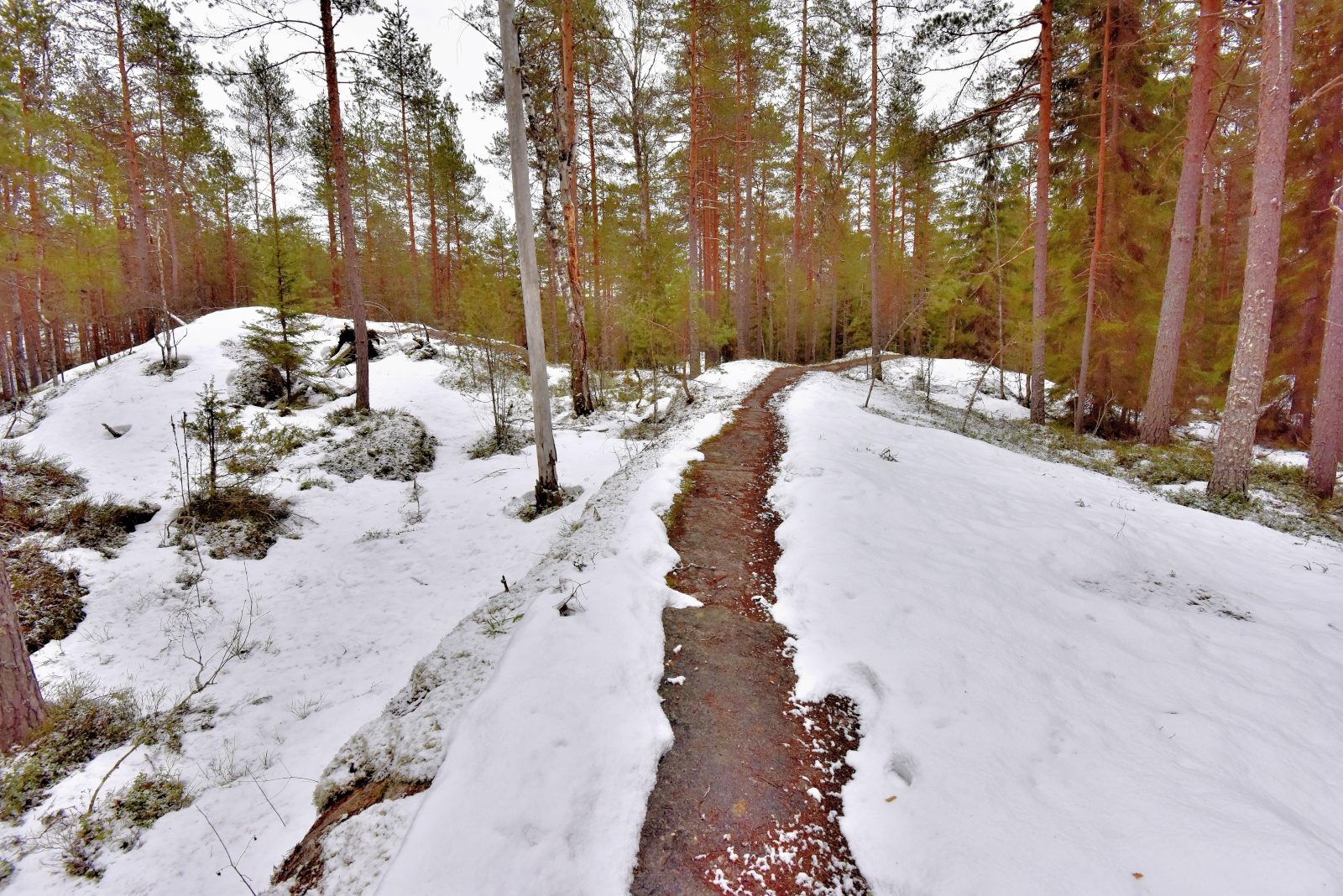 Valokuvaaja: Reijo Juurinen