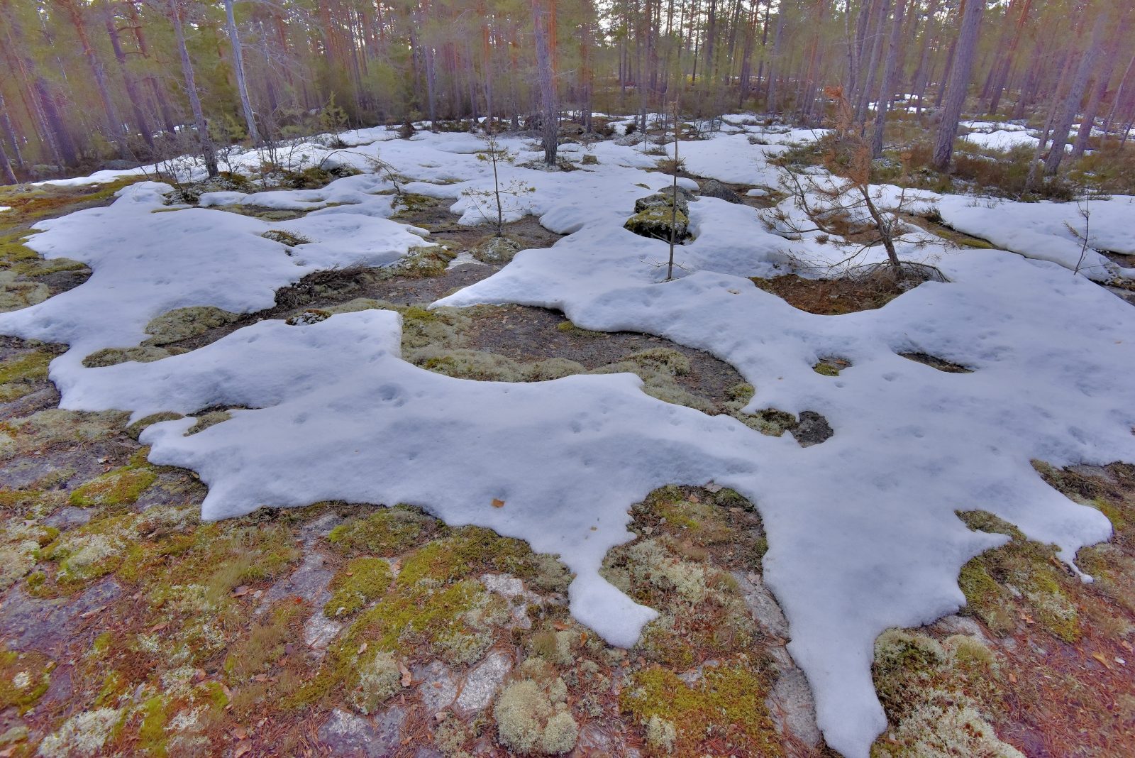 Valokuvaaja: Reijo Juurinen