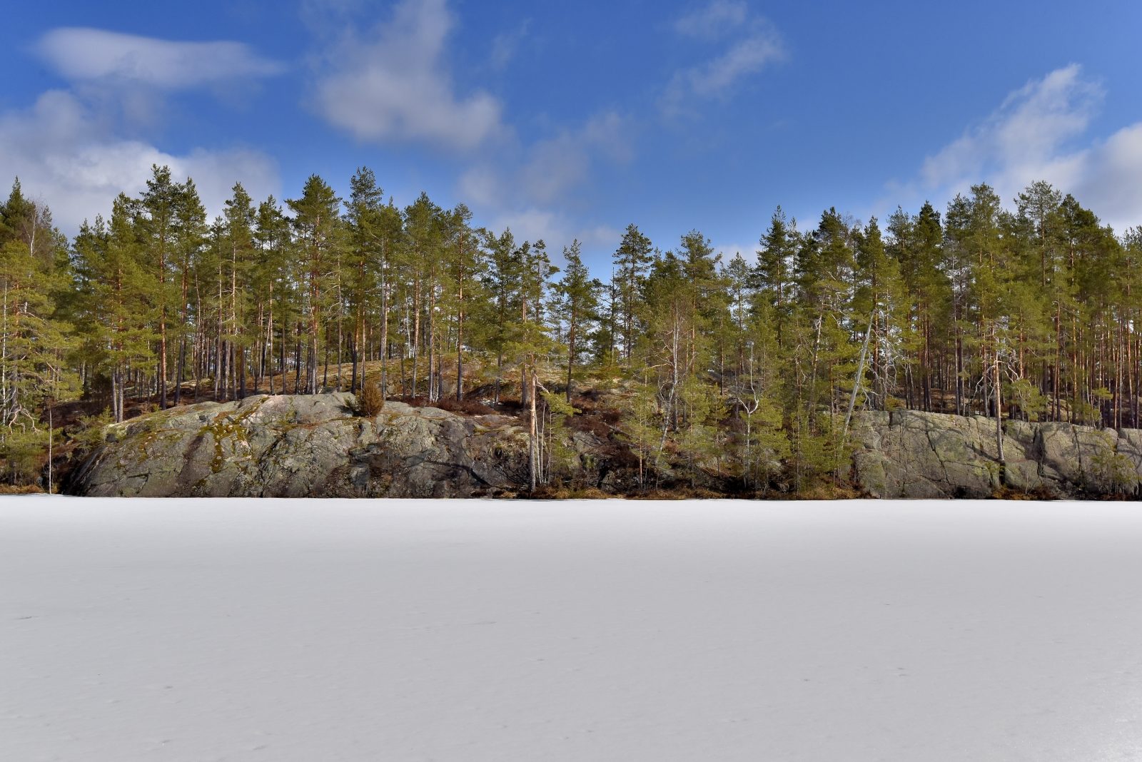 Valokuvaaja: Reijo Juurinen