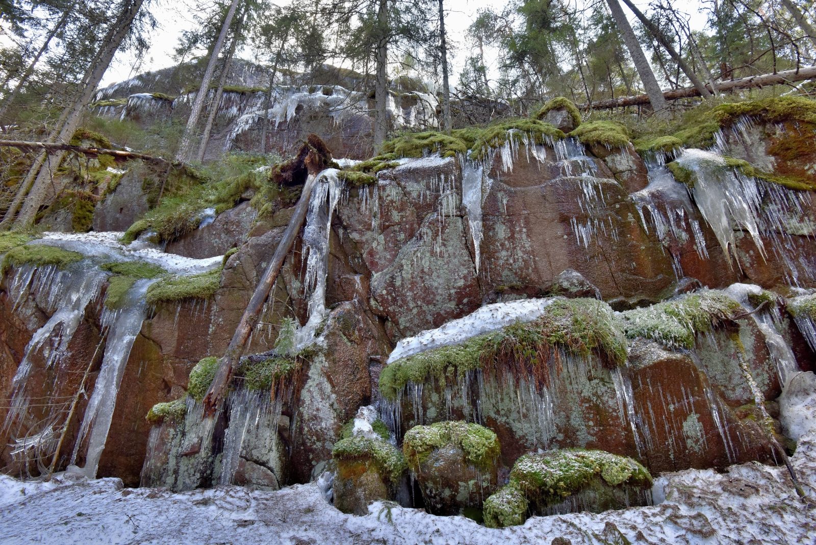 Valokuvaaja: Reijo Juurinen