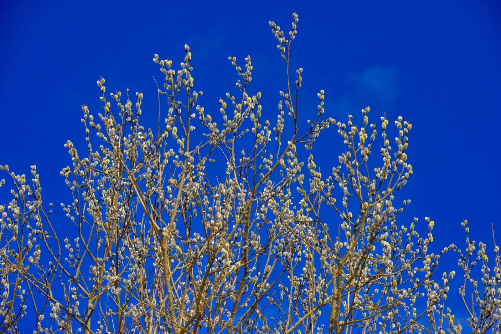 Valokuvaaja: Reijo Juurinen