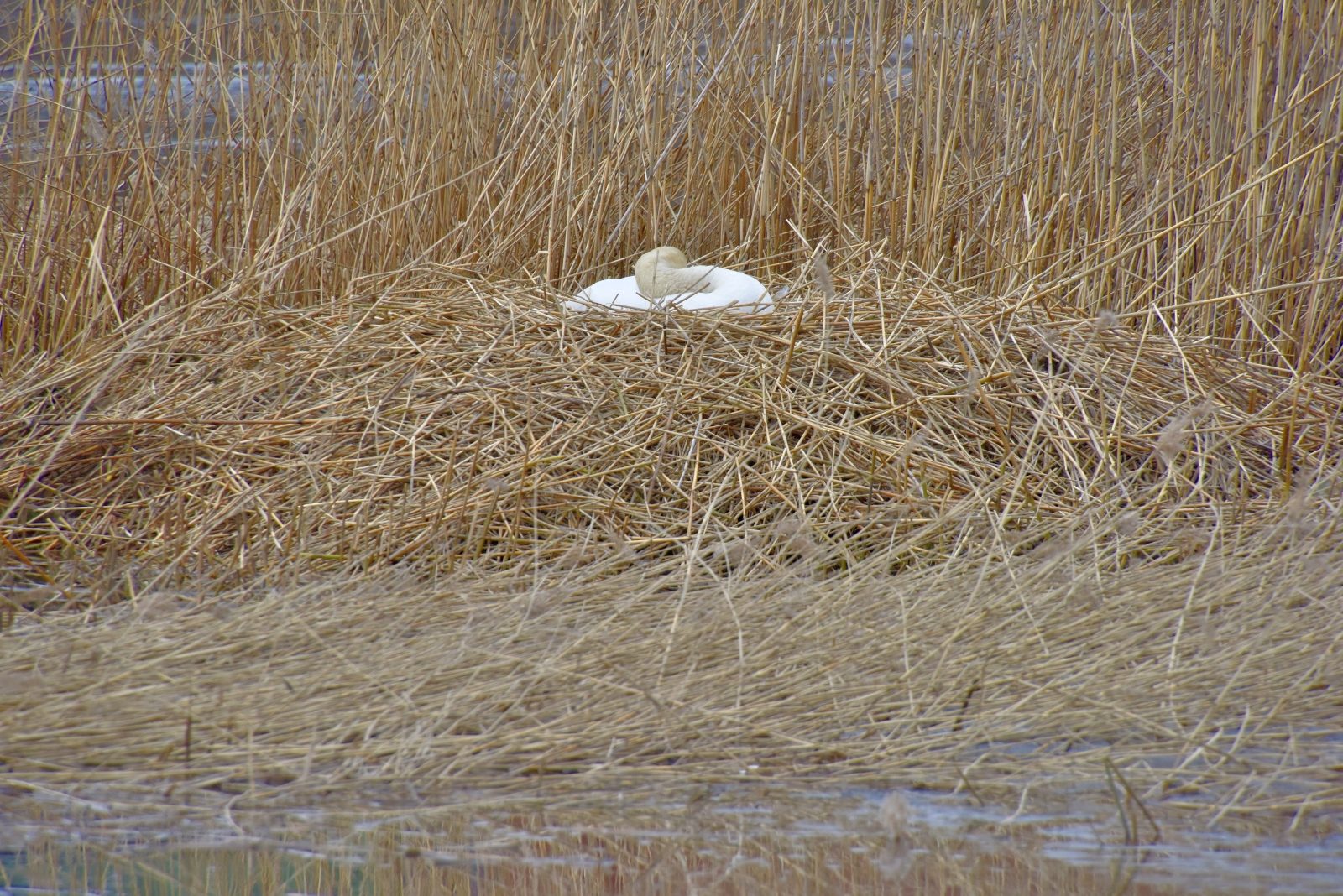 Valokuvaaja: Reijo Juurinen