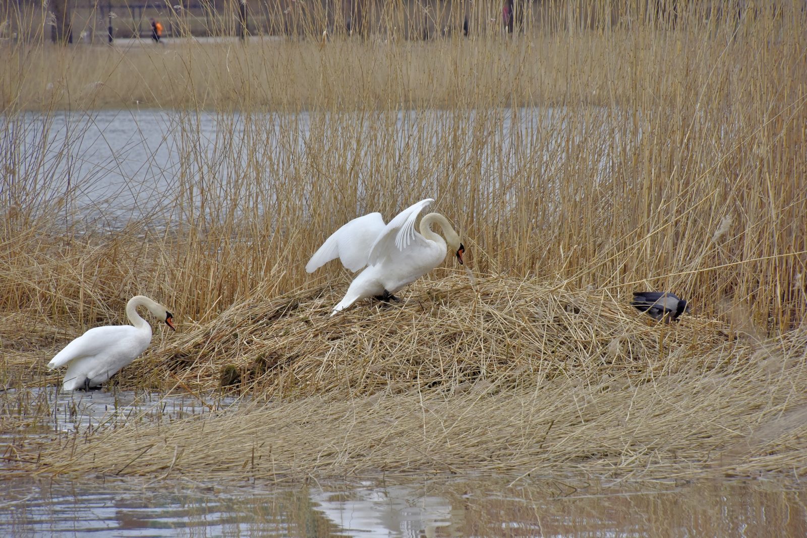 Valokuvaaja: Reijo Juurinen