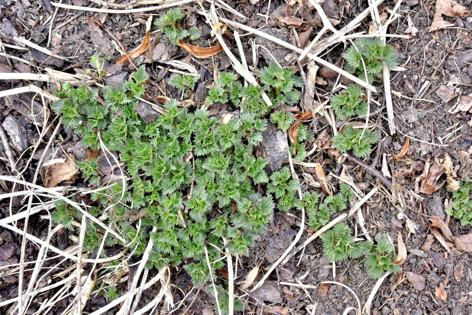 Valokuvaaja: Reijo Juurinen