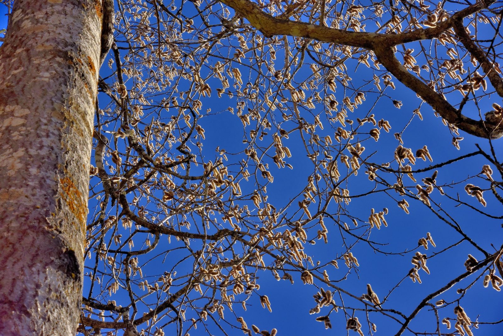 Valokuvaaja: Reijo Juurinen