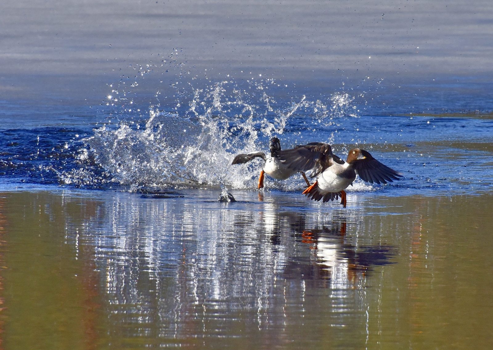 Valokuvaaja: Reijo Juurinen
