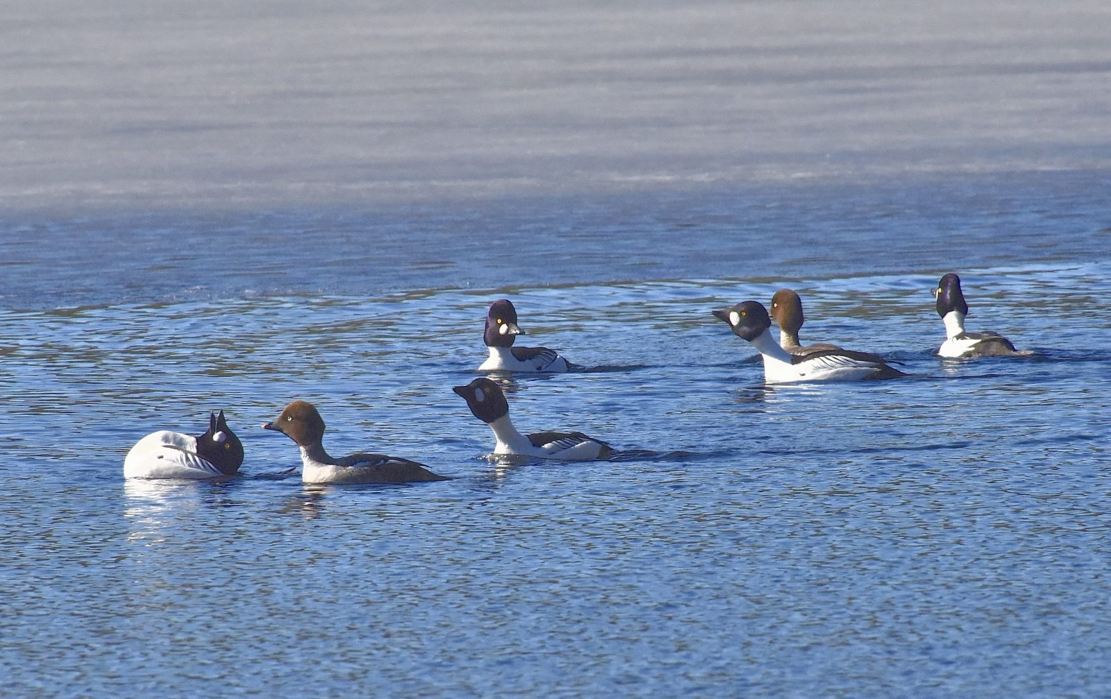 Valokuvaaja: Reijo Juurinen