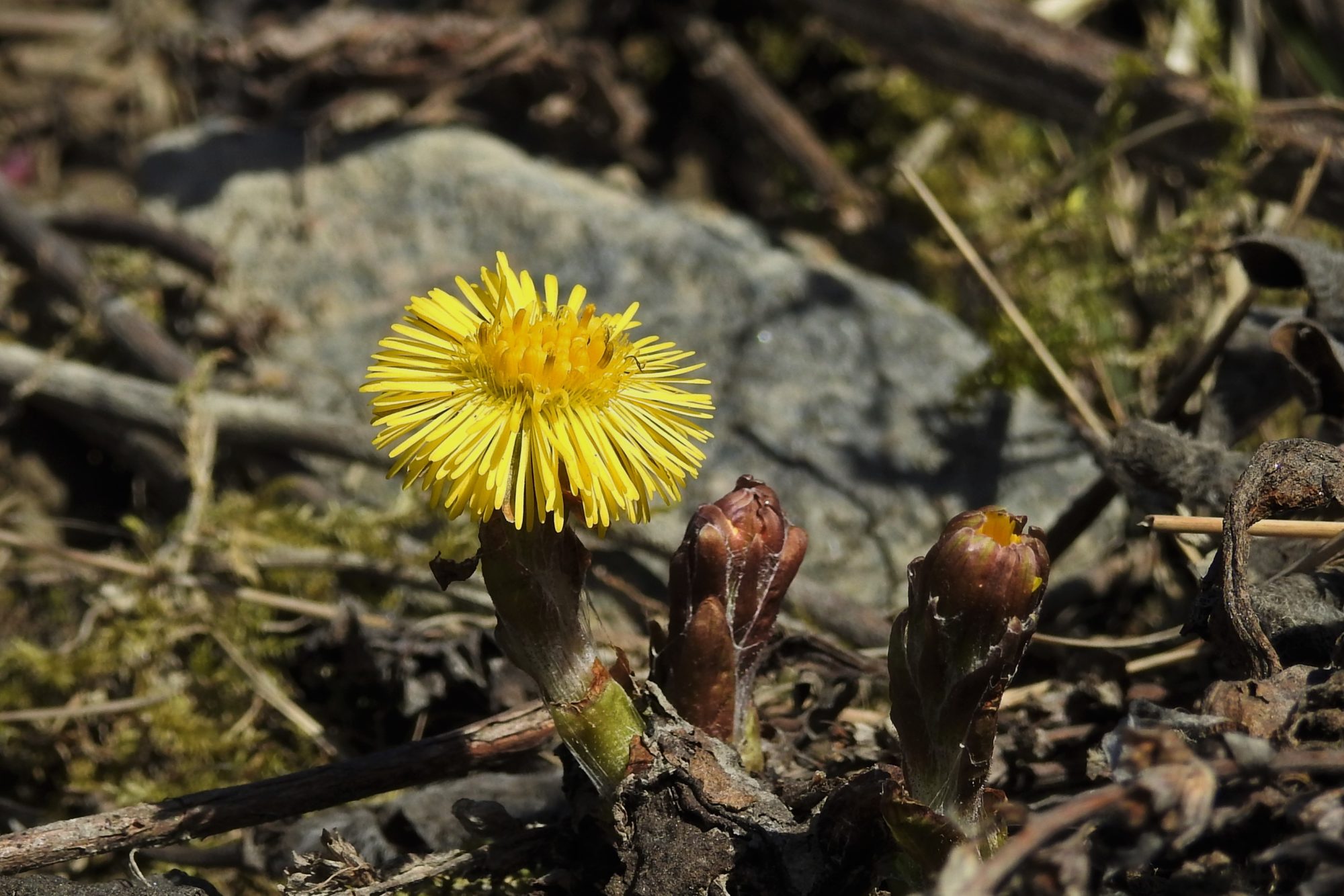 Valokuvaaja: Maarit Siitonen
