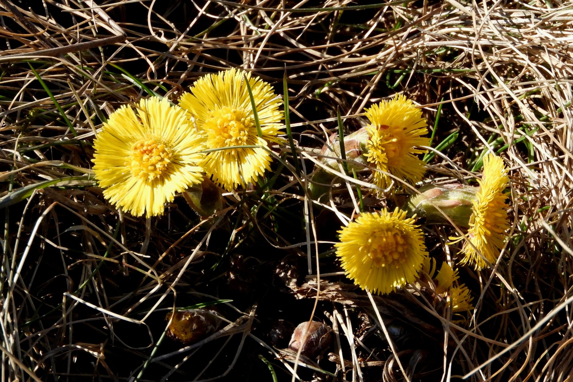 Valokuvaaja: Sirkka Perttu