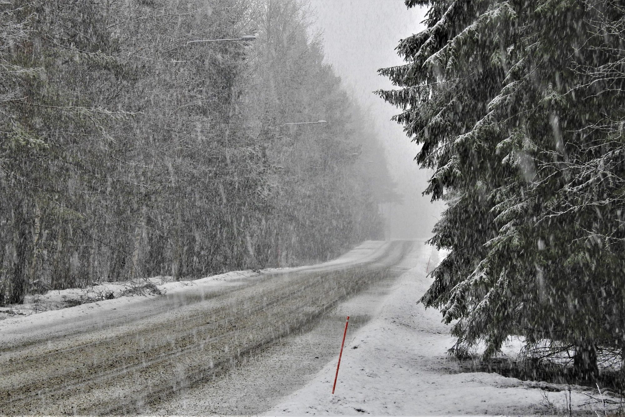 Valokuvaaja: Maarit Siitonen