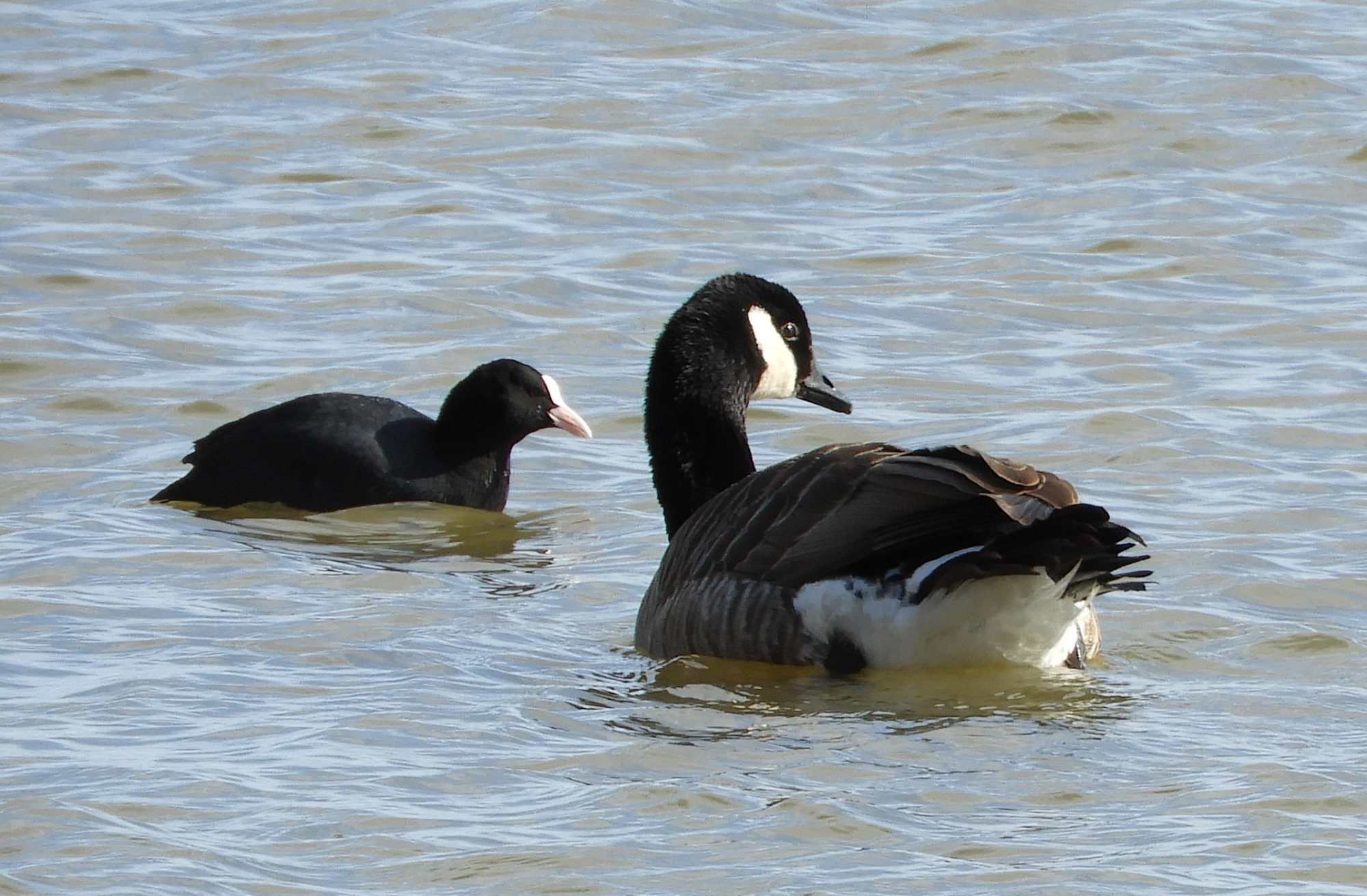 Valokuvaaja: Lissu Kaivolehto Valokuvaaja: Lissu Kaivolehto