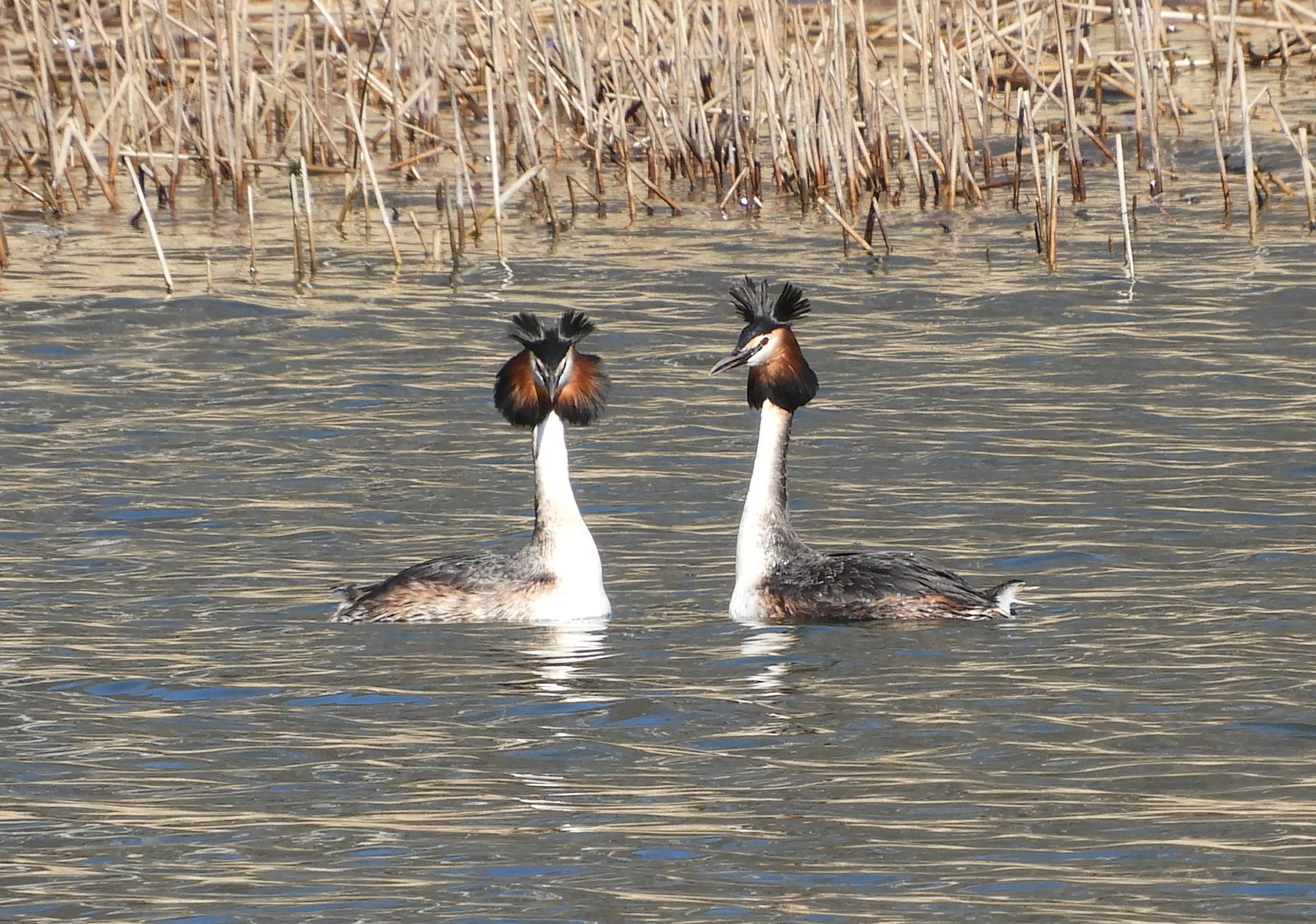 Valokuvaaja: Lissu Kaivolehto