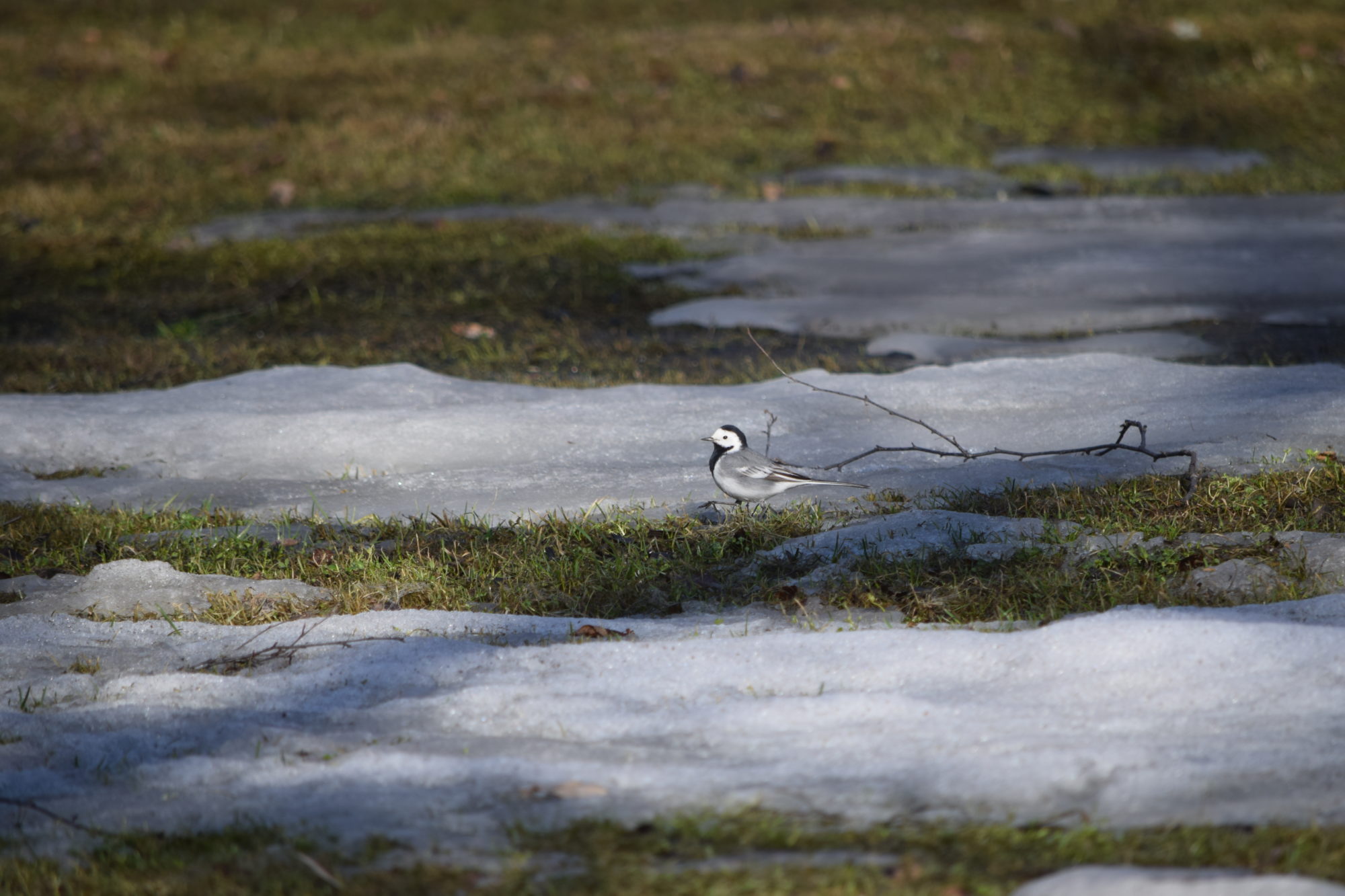 Valokuvaaja: Riitta Marjamäki