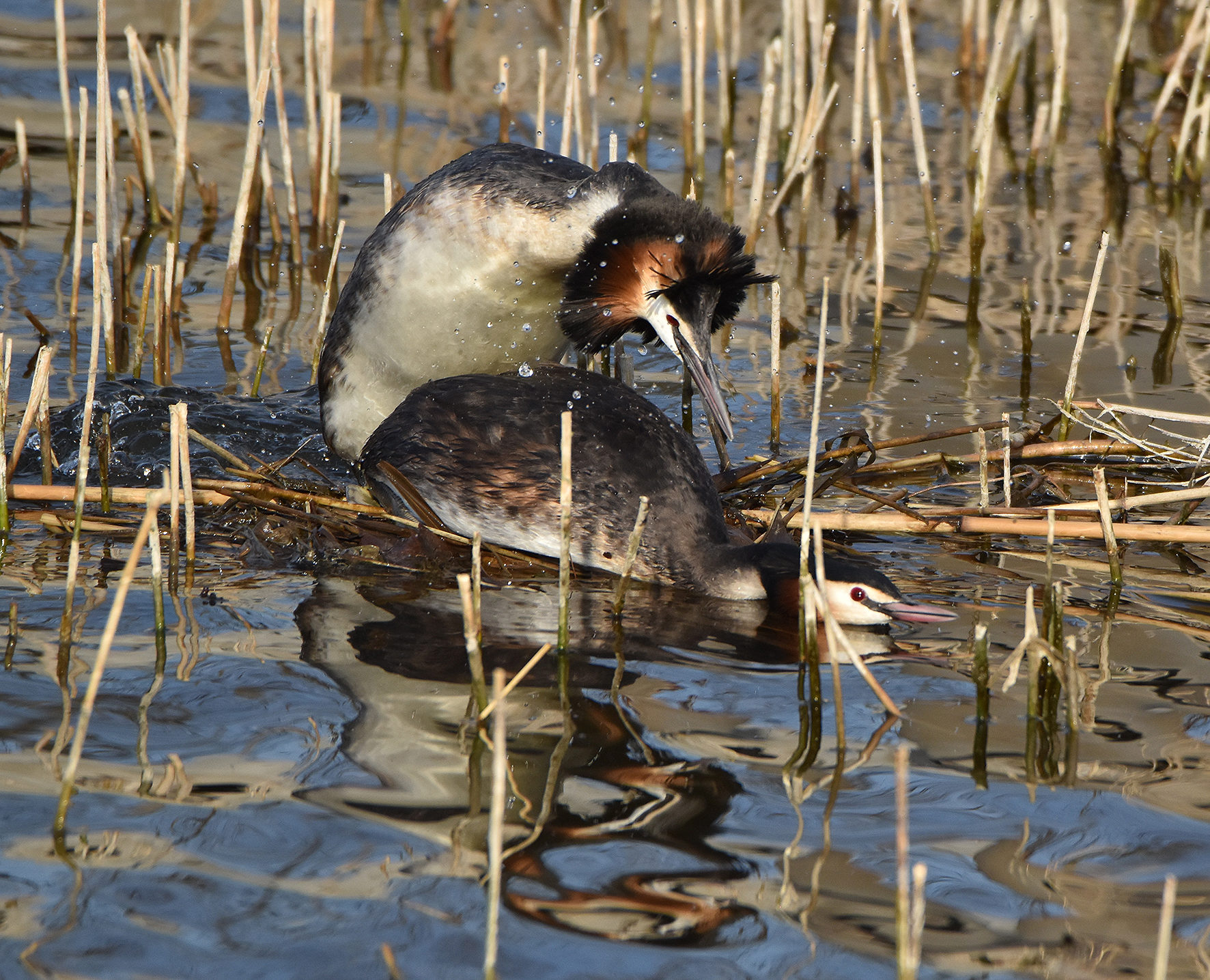 Valokuvaaja: Minna Mäkipää
