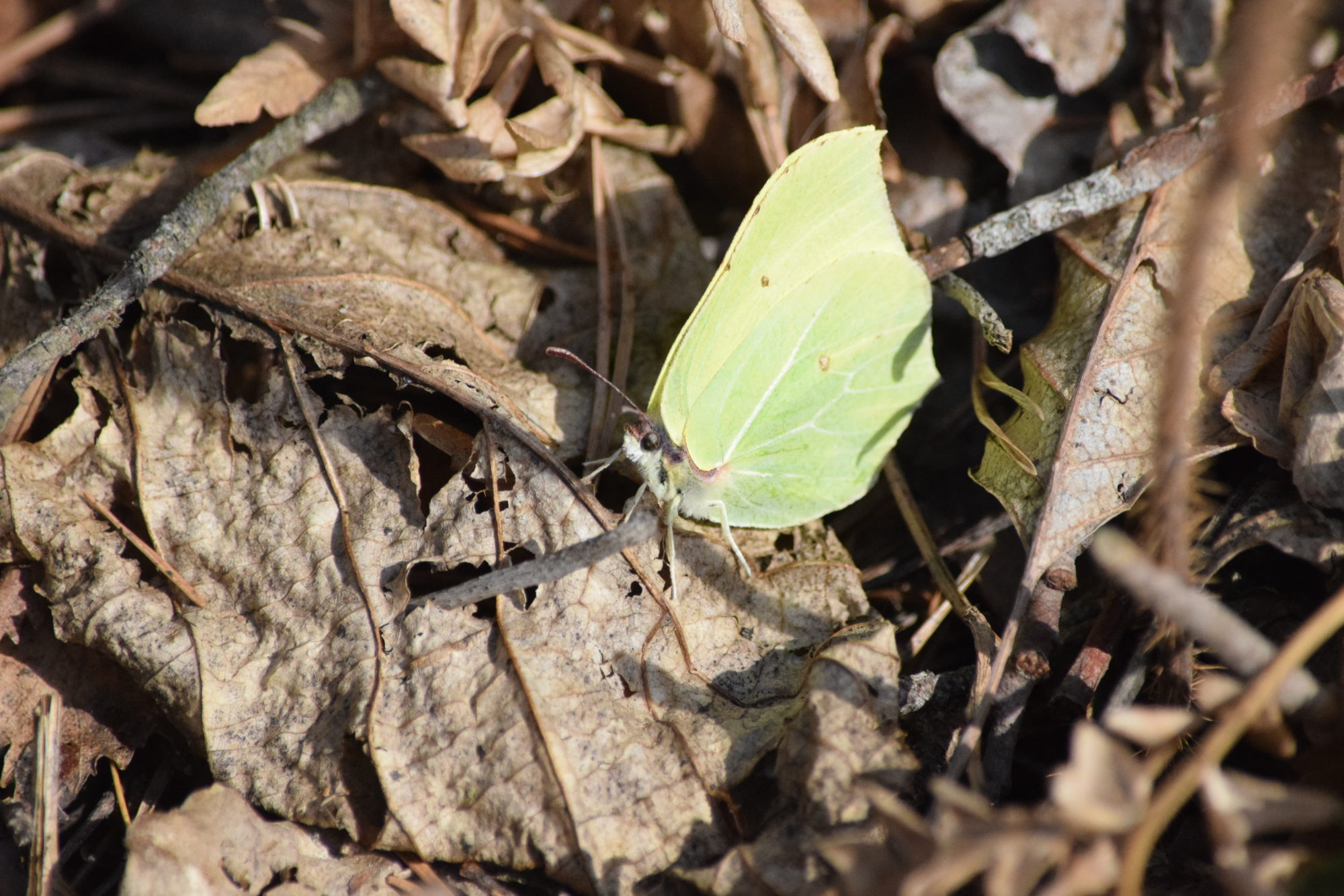 Valokuvaaja: Riitta Marjamäki Valokuvaaja: Riitta Marjamäki