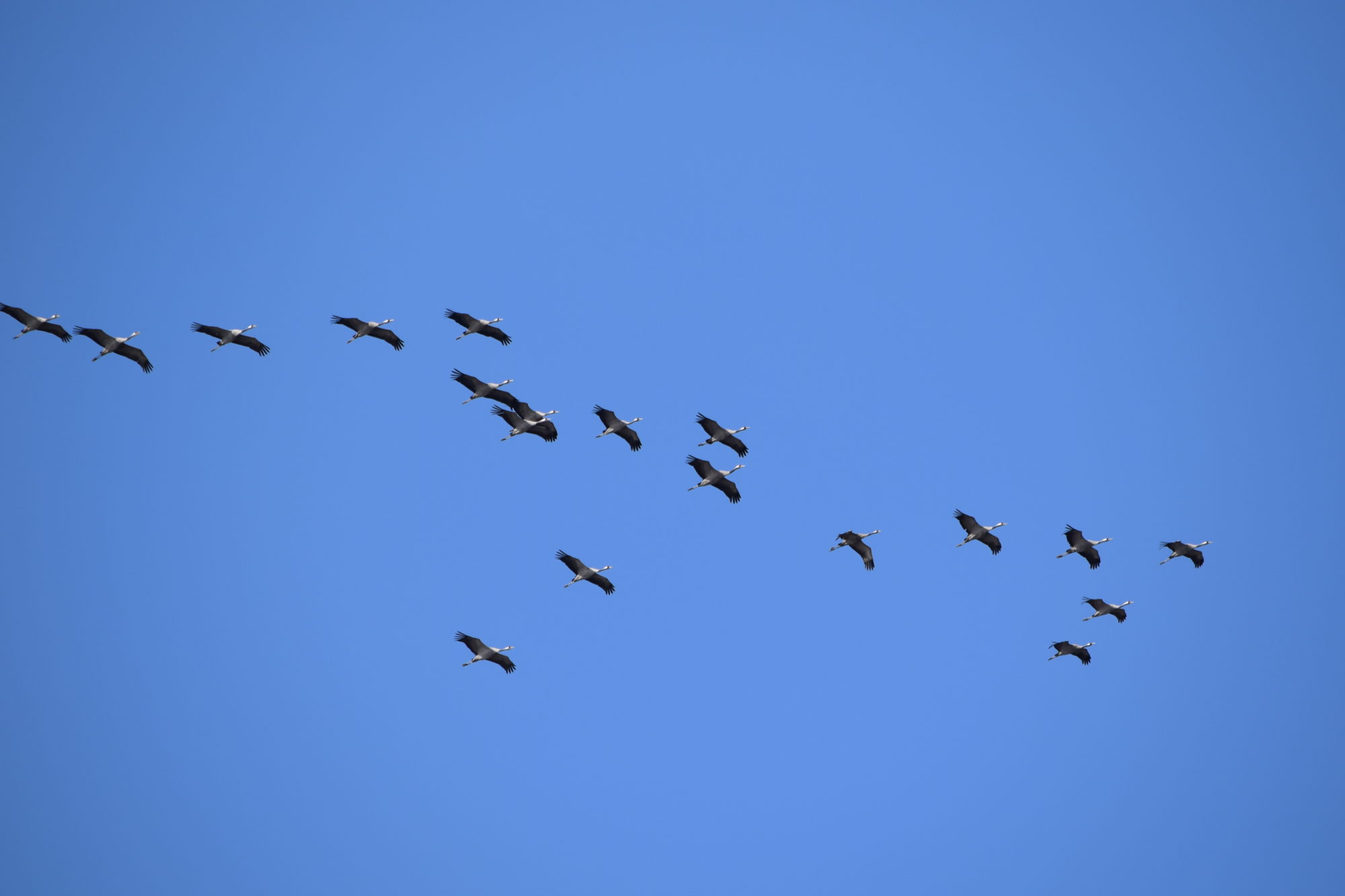 Valokuvaaja: Riitta Marjamäki