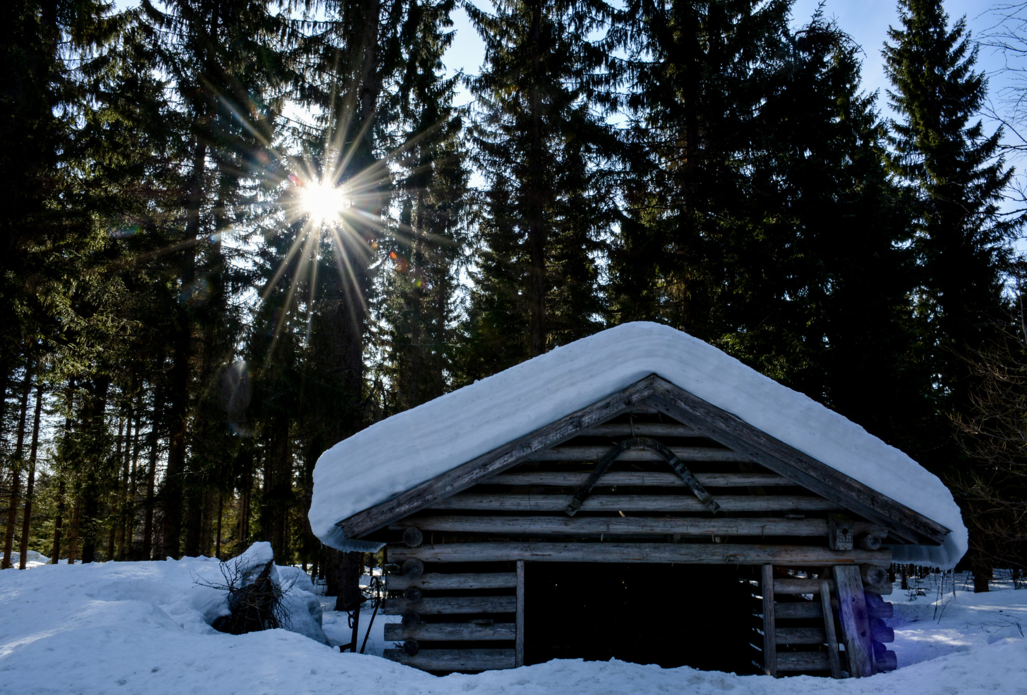 Valokuvaaja: Maija Savolainen