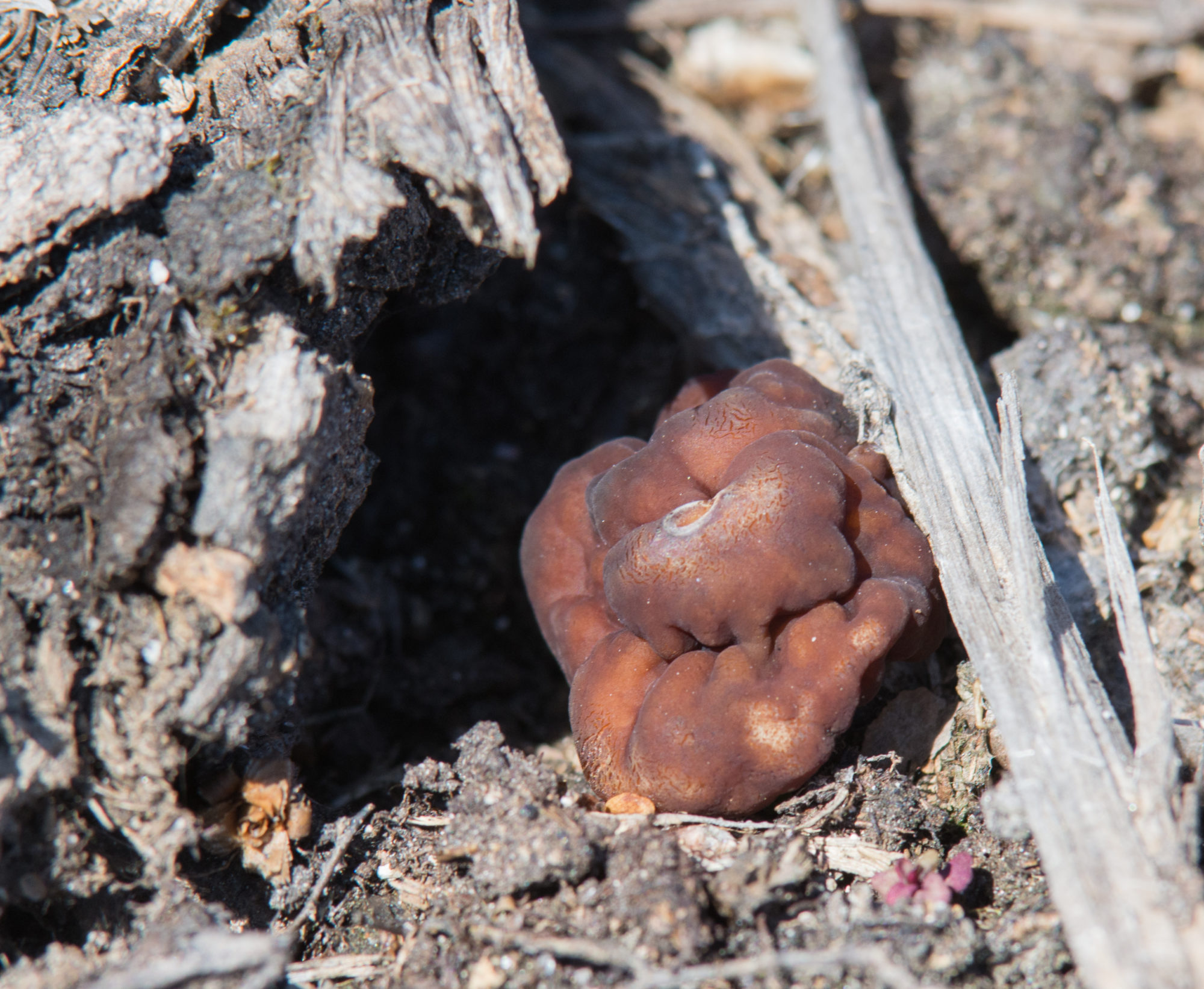 Valokuvaaja: markku saarinen