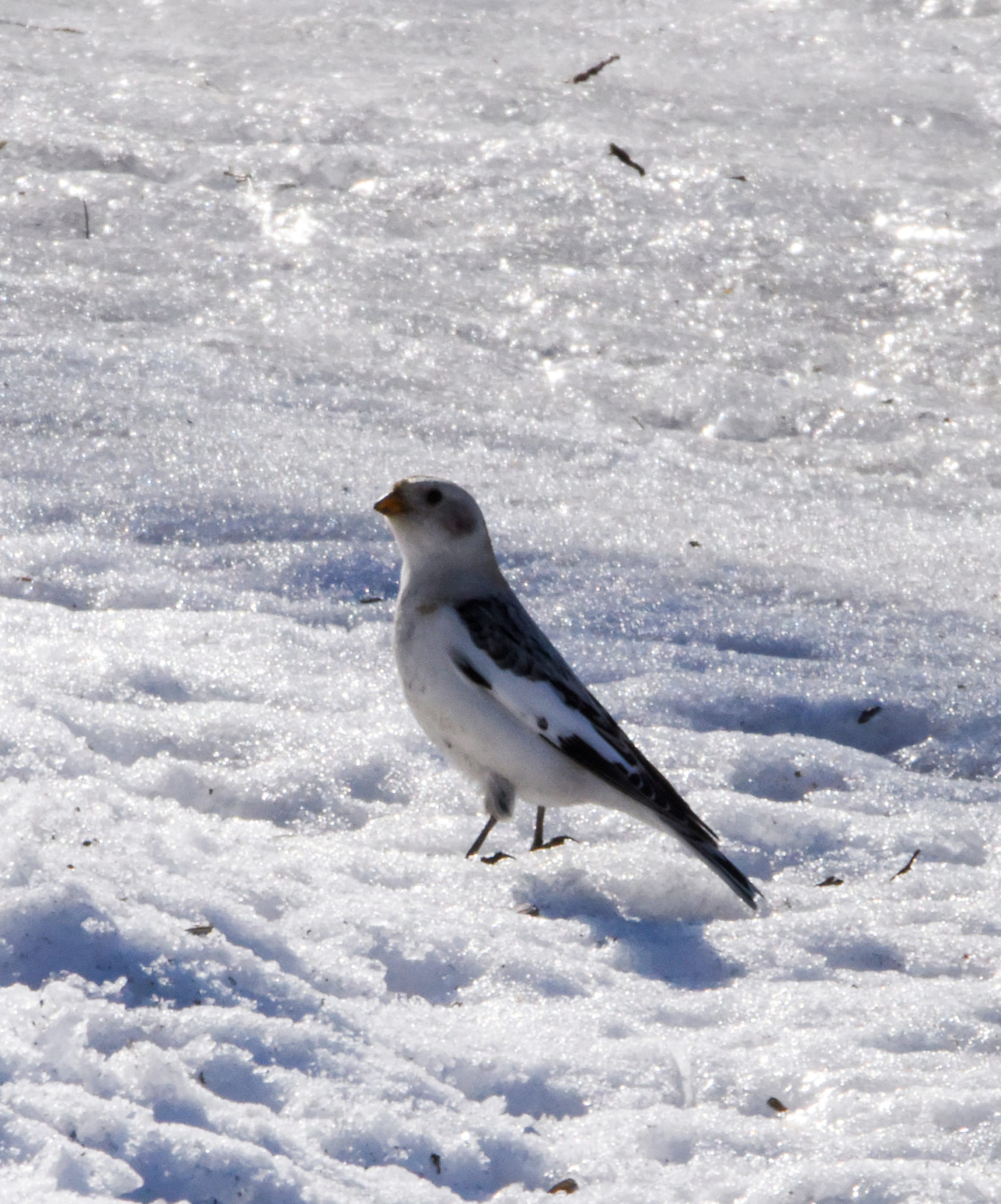 Valokuvaaja: Maija Savolainen