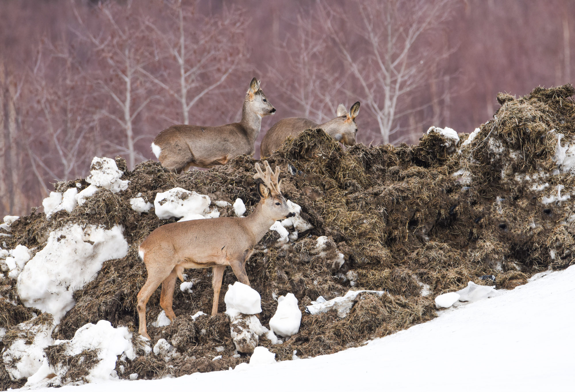 Valokuvaaja: Maija Savolainen