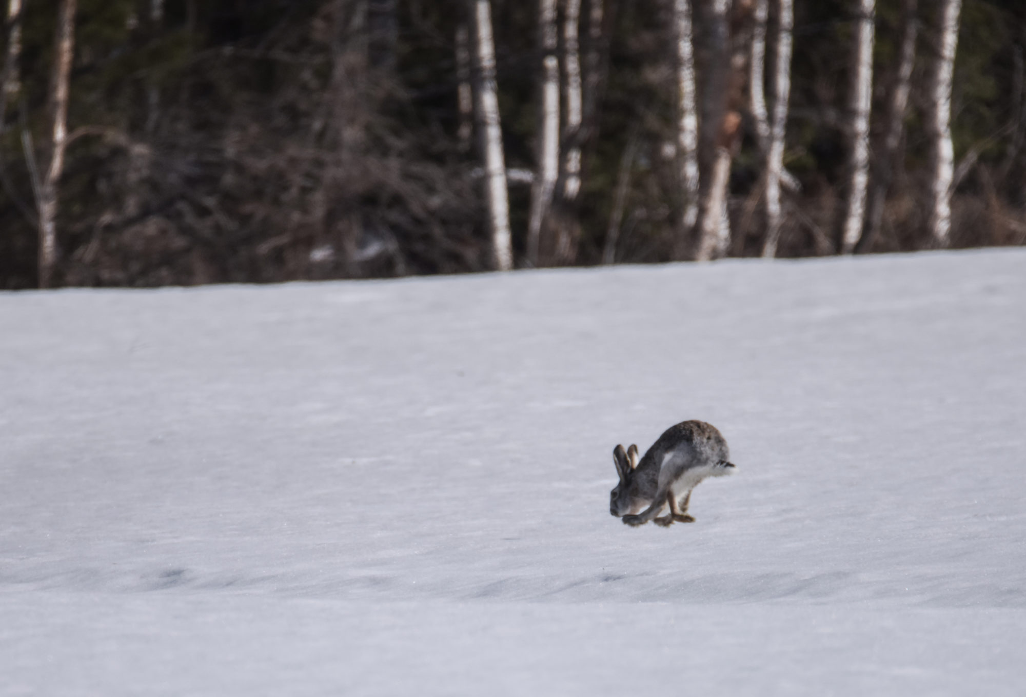 Valokuvaaja: Maija Savolainen