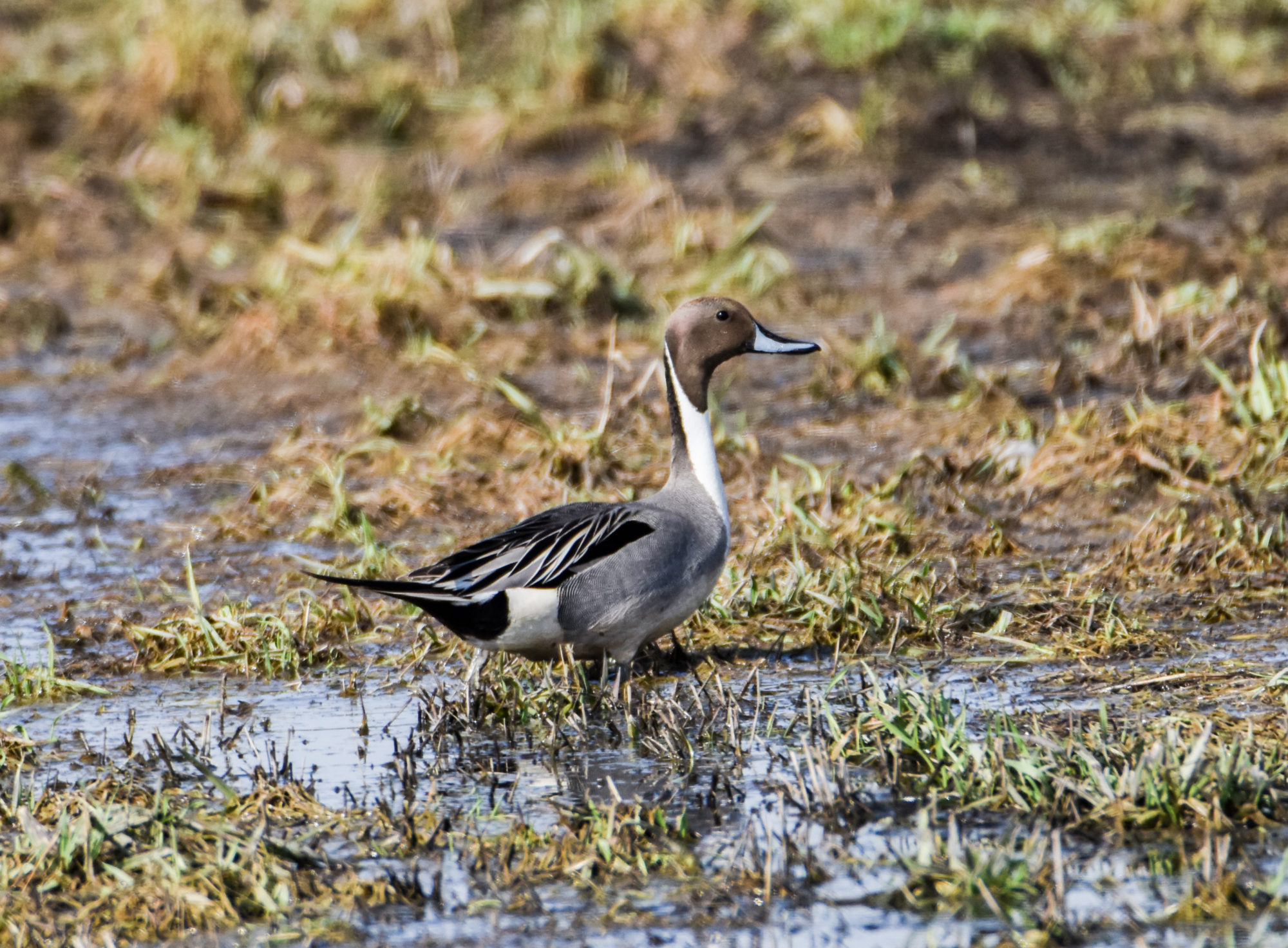 Valokuvaaja: Maija Savolainen Valokuvaaja: Maija Savolainen