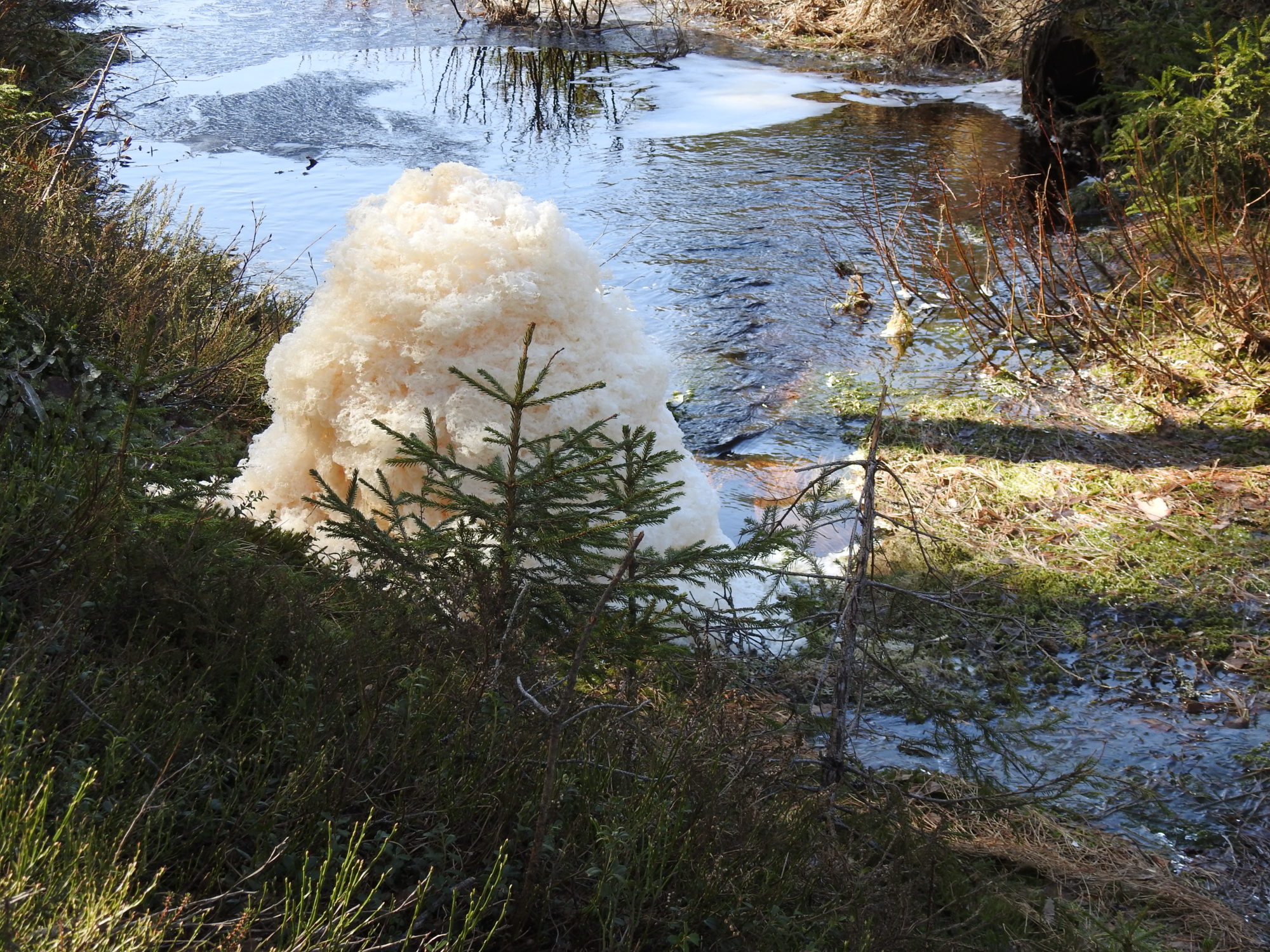 Valokuvaaja: Sirkka Tervo