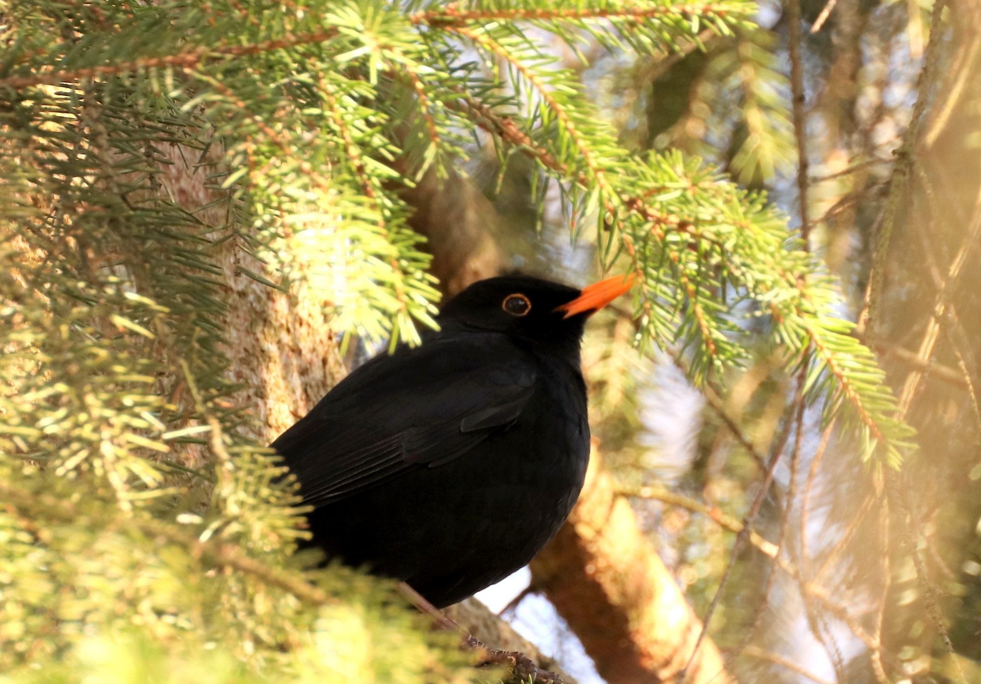 Valokuvaaja: Irja Lehtinen