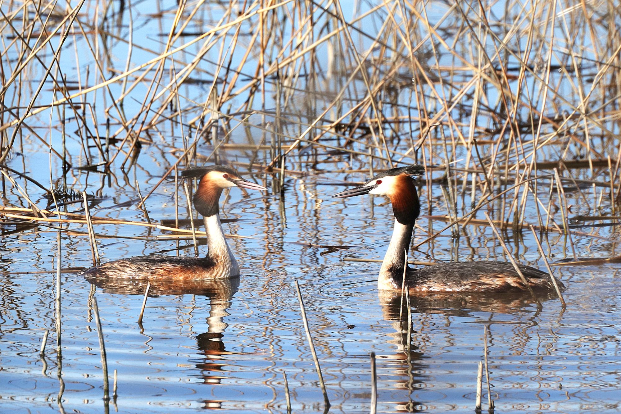 Valokuvaaja: Irja Lehtinen