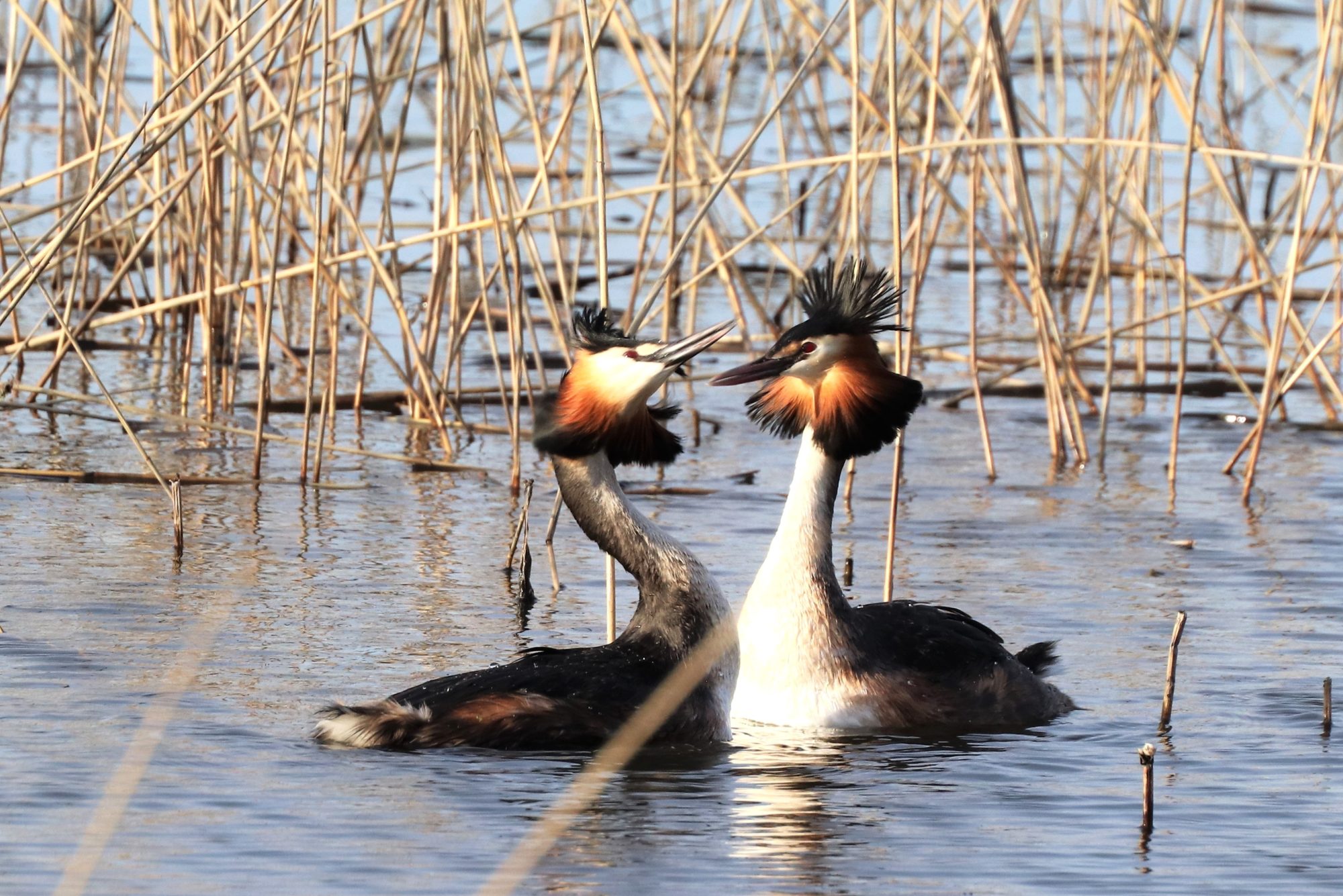 Valokuvaaja: Irja Lehtinen