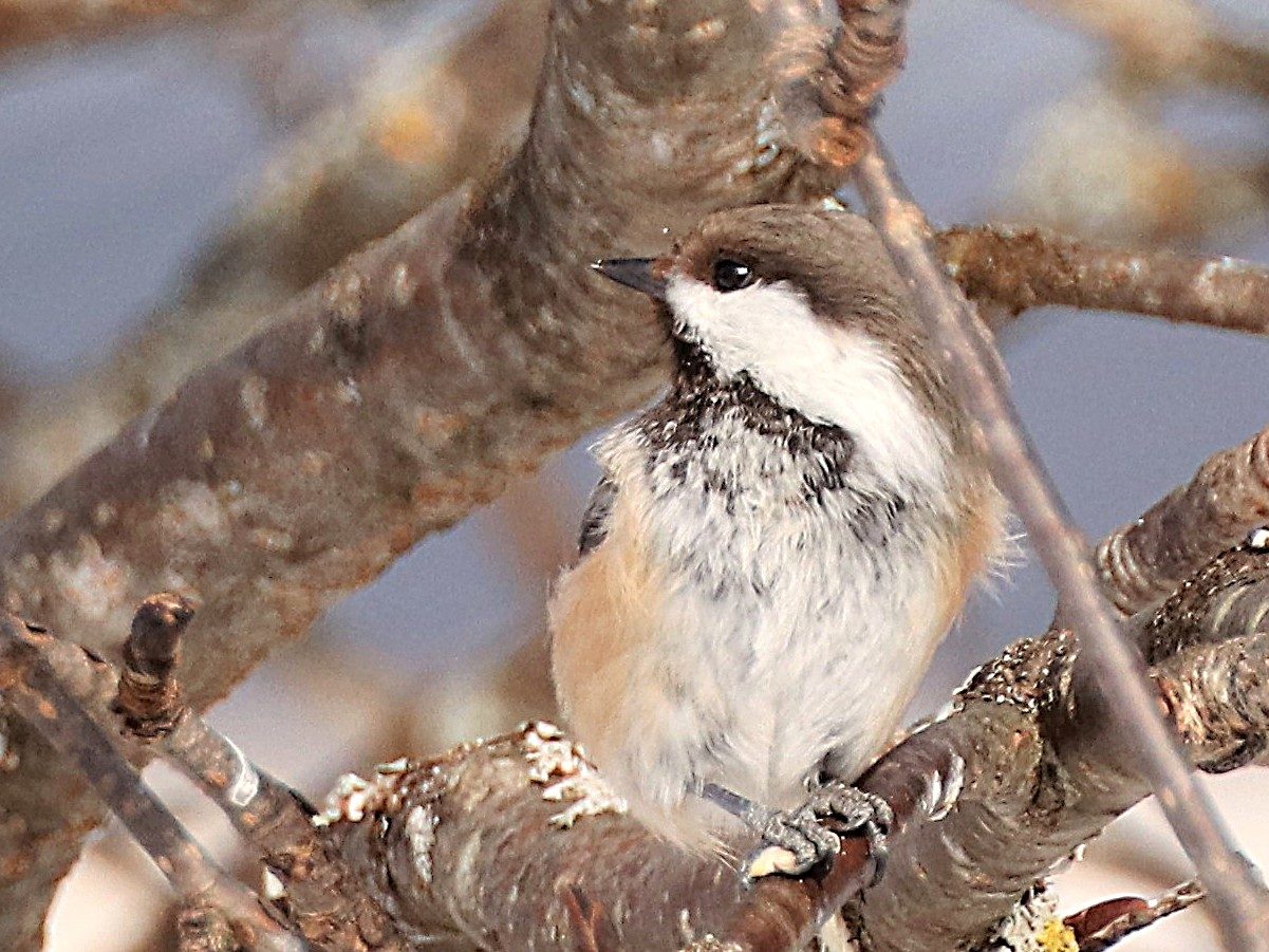 Valokuvaaja: Irja Lehtinen